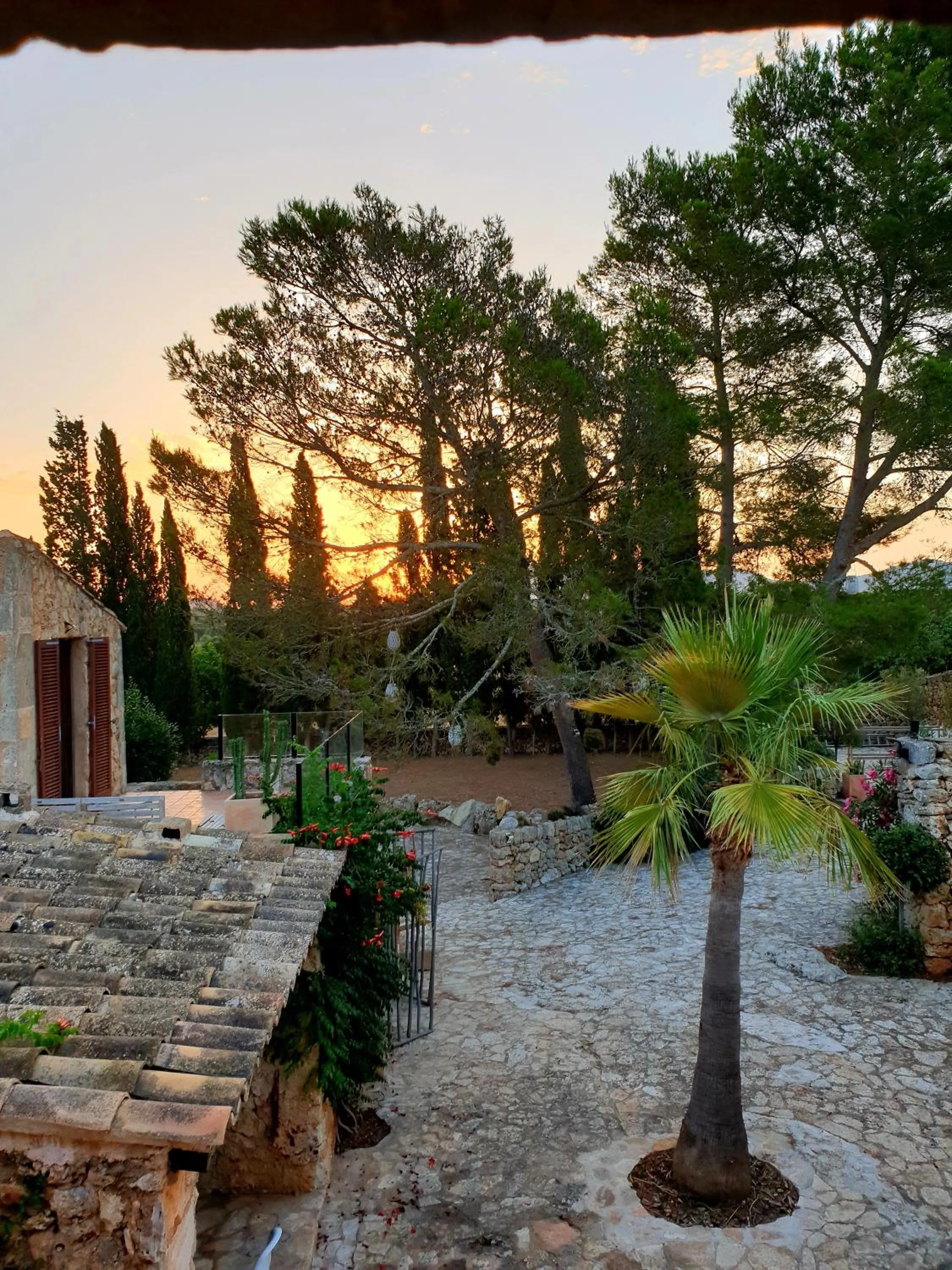 Garden in Las Fincas de Annie
