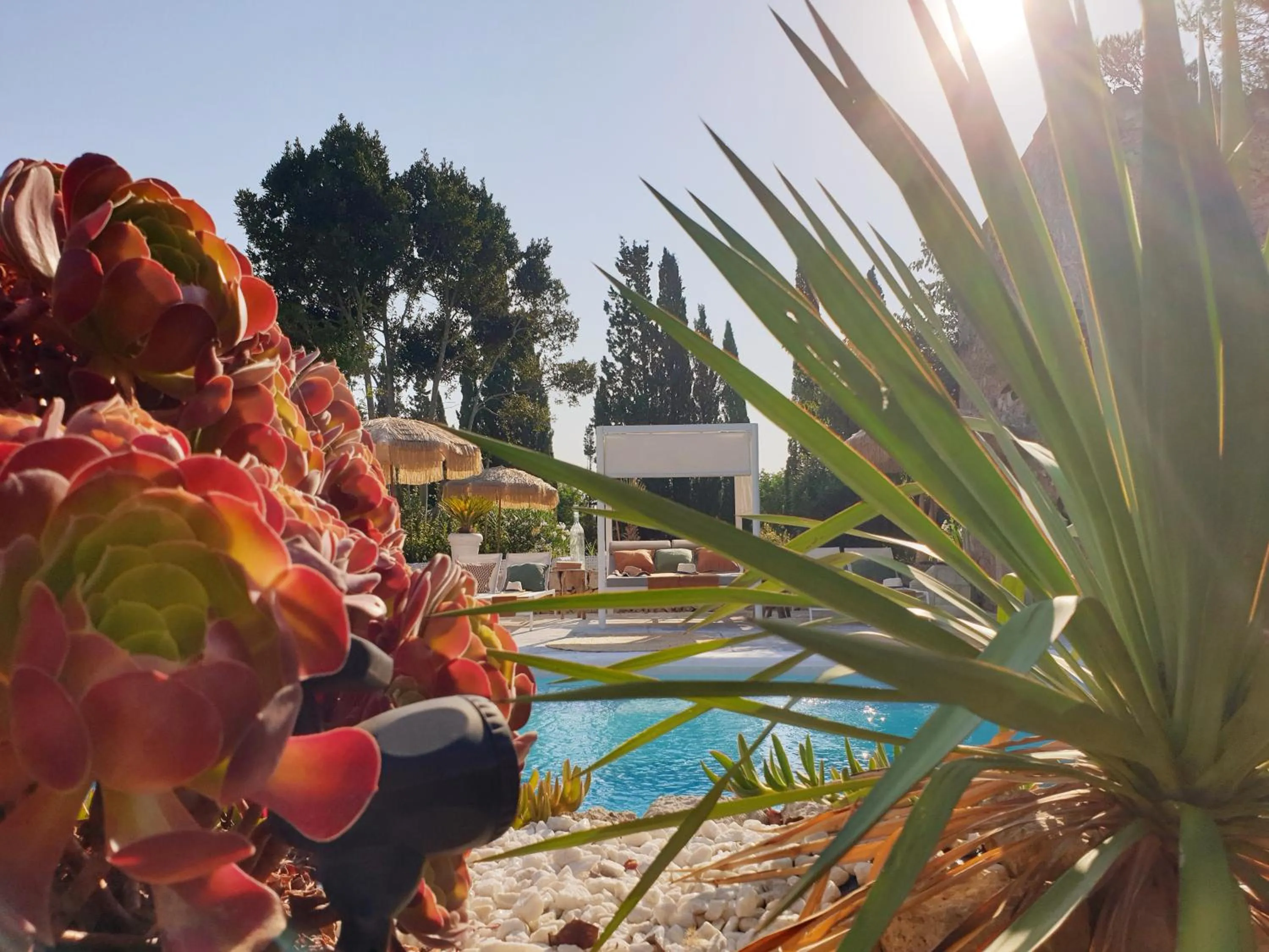 Pool view in Las Fincas de Annie