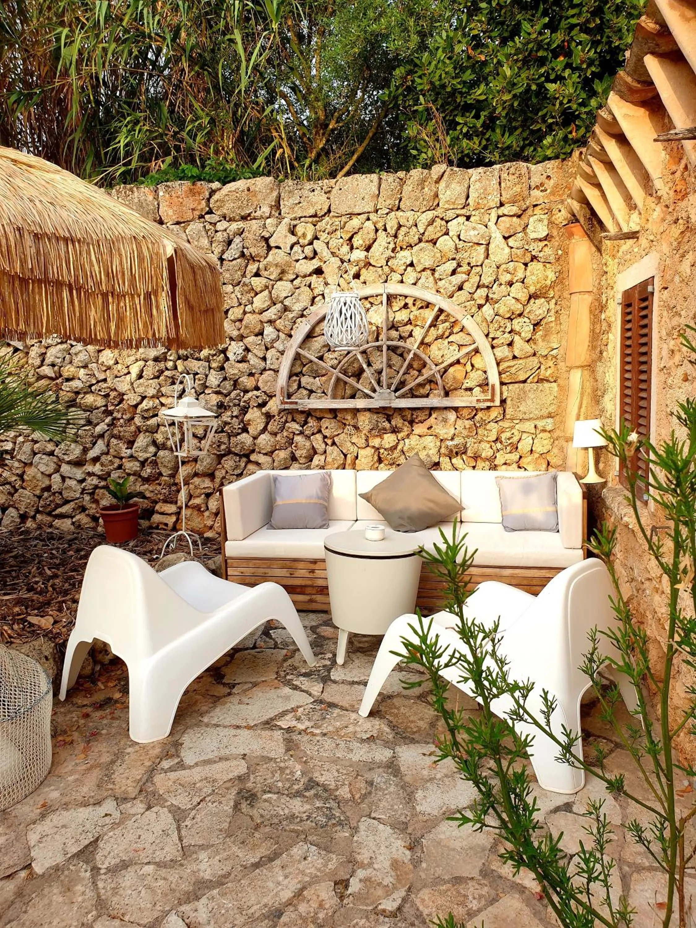 Patio in Las Fincas de Annie