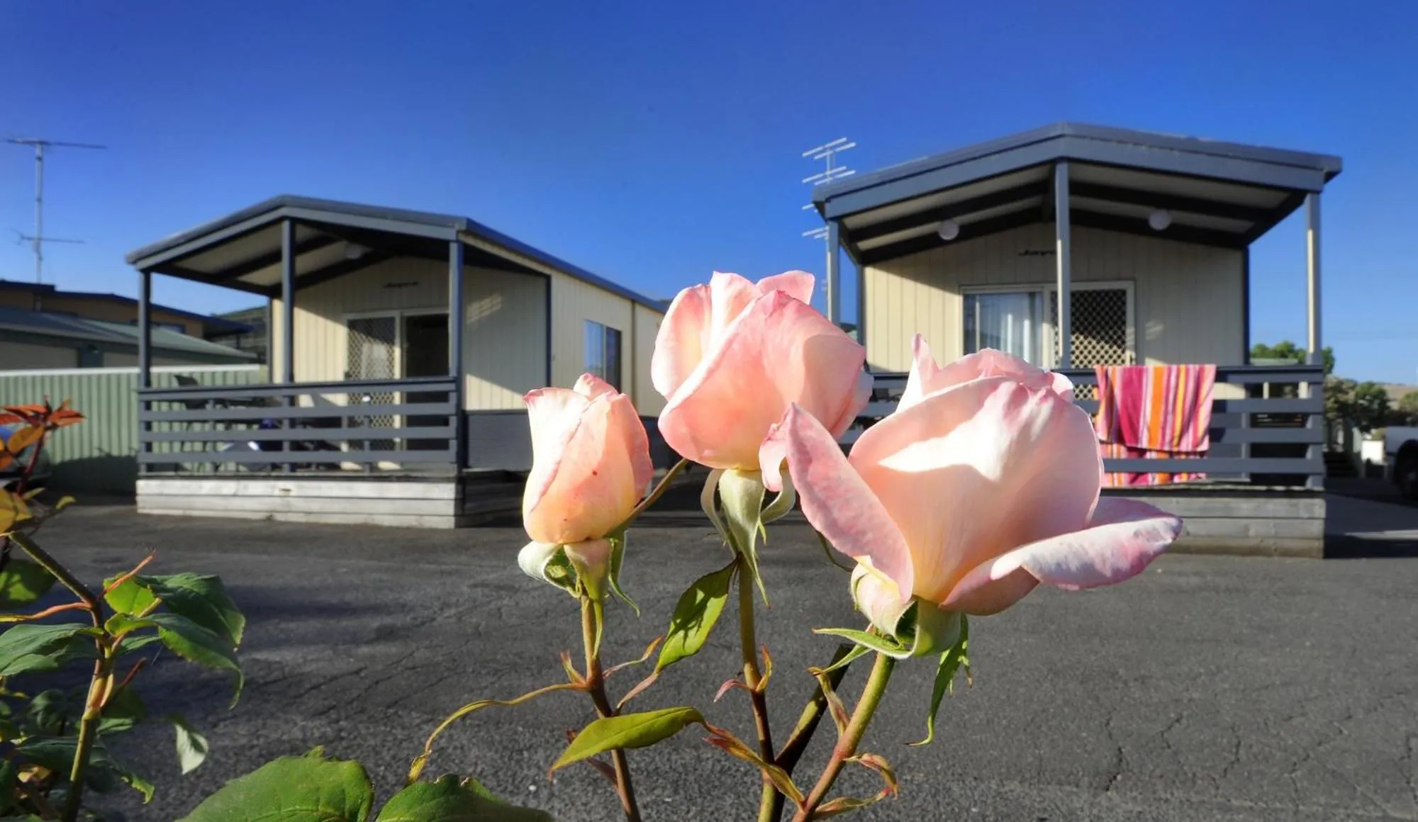 Garden in Apollo Bay Holiday Park