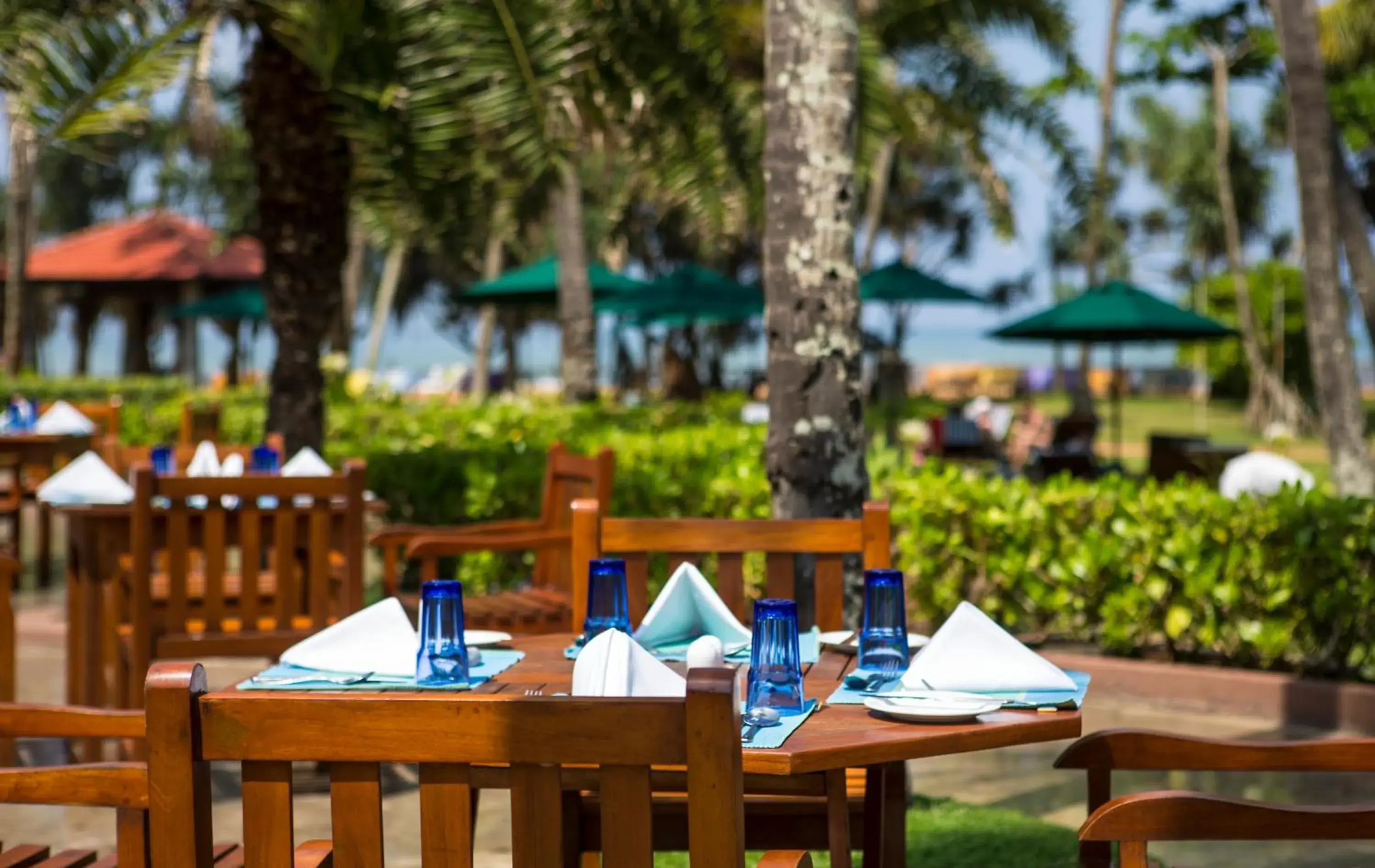 Restaurant/places to eat in Royal Palms Beach Hotel Restaurant/places to eat in Royal Palms Beach Hotel