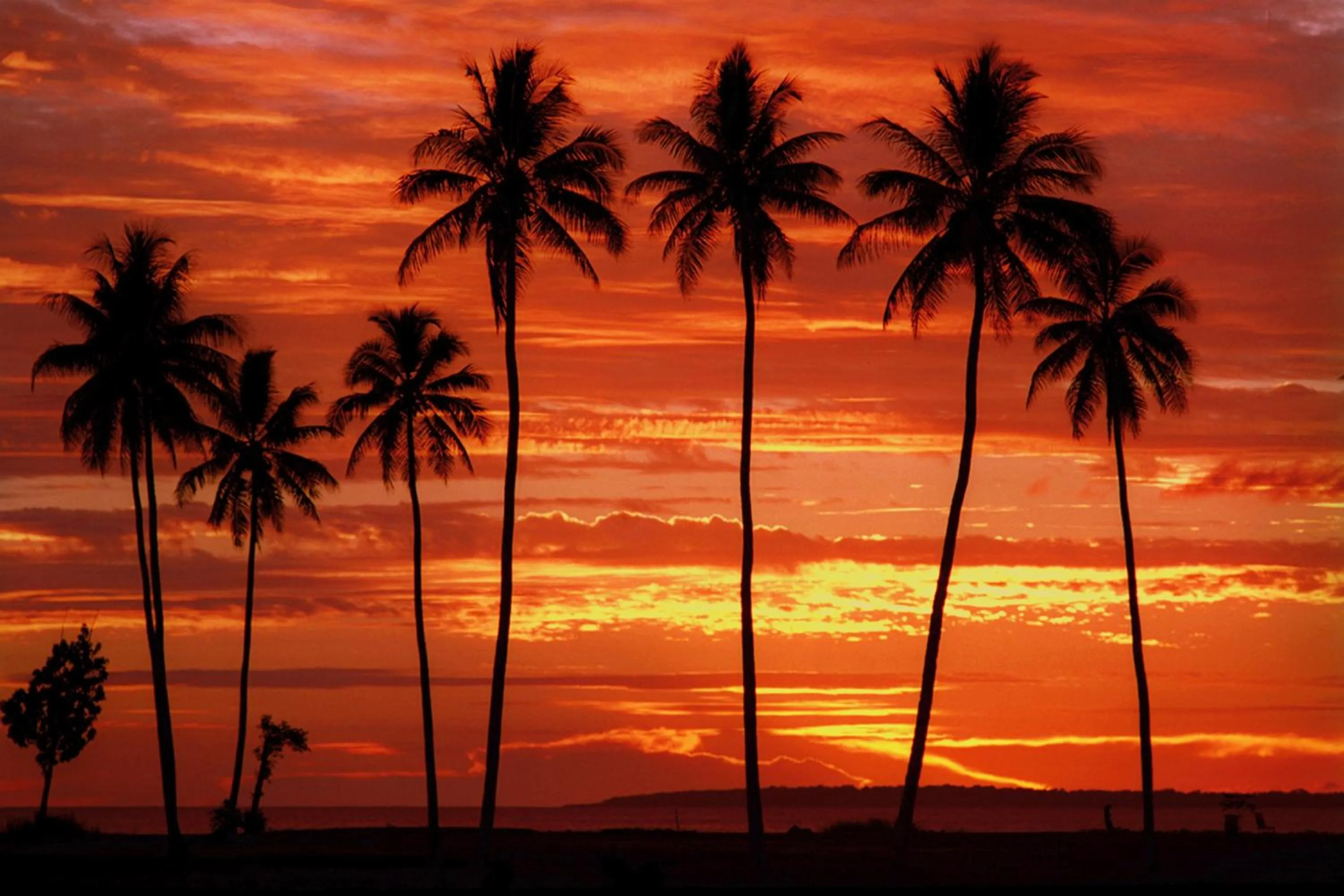 Natural landscape in Ratua Private Island Resort