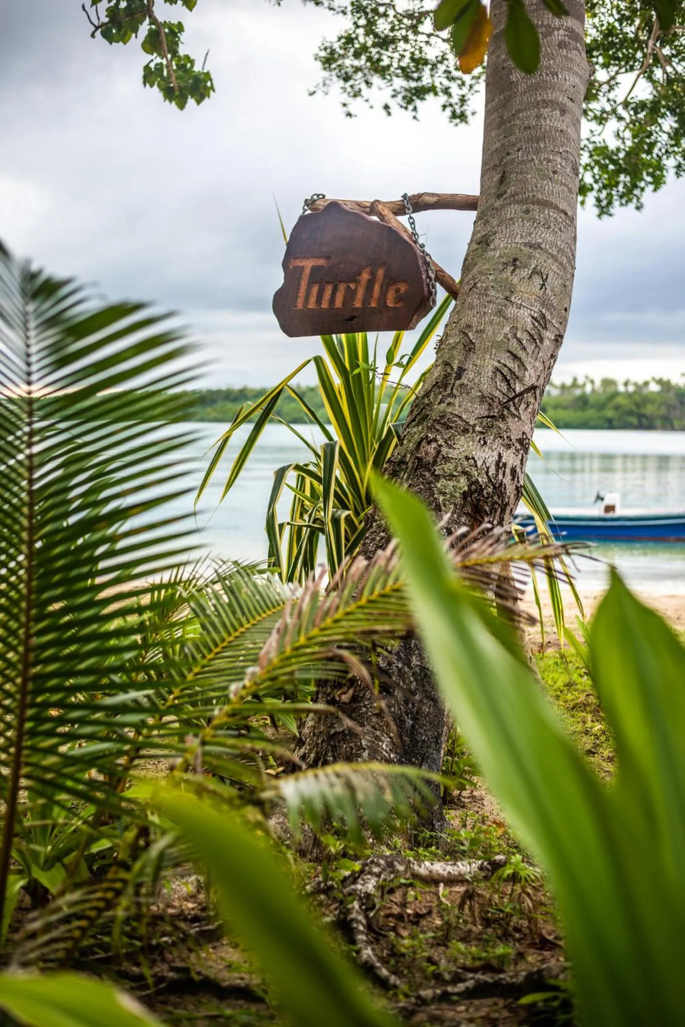 Natural landscape in Ratua Private Island Resort