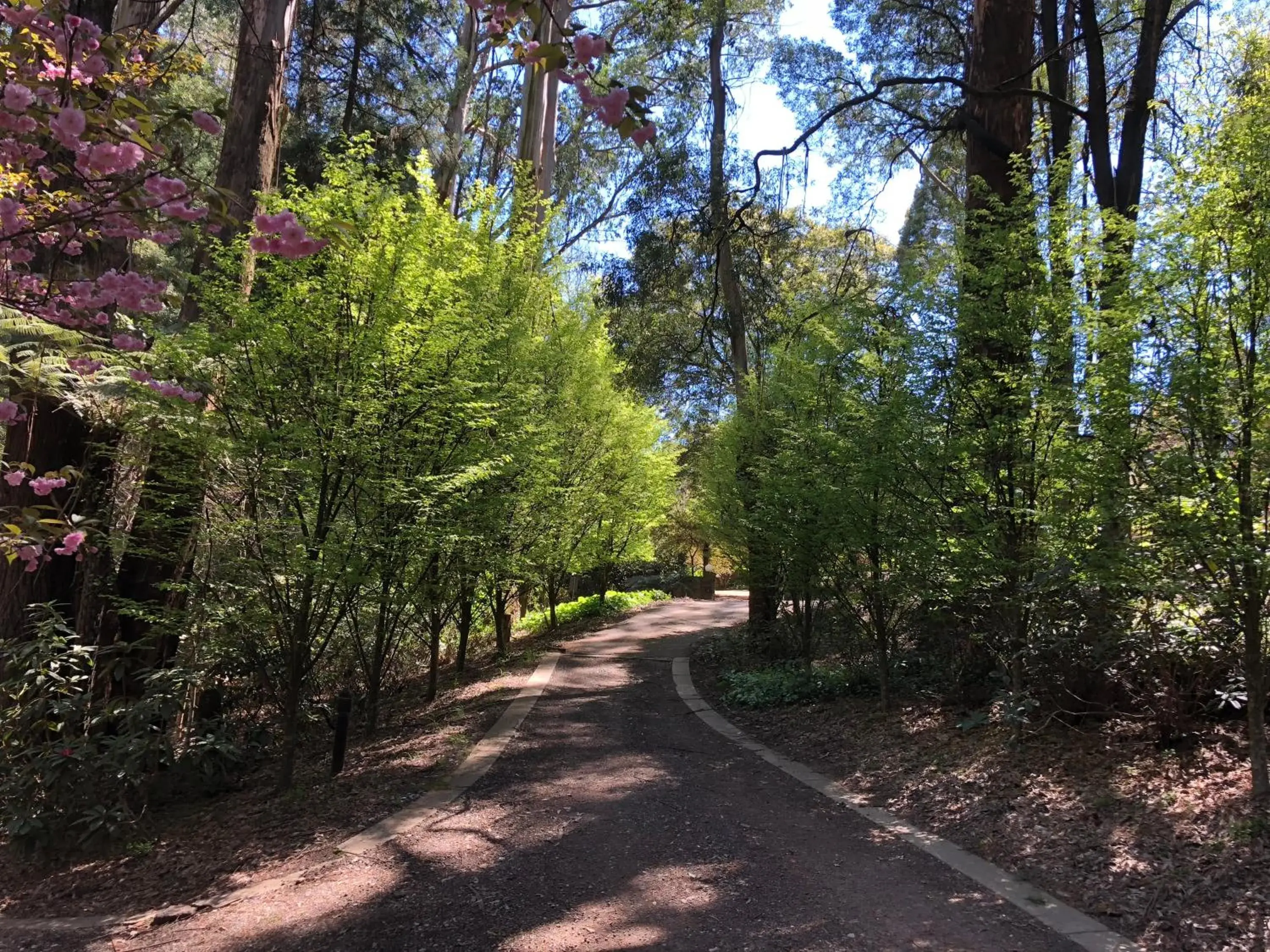 Lochiel Luxury Accommodation Lochiel Luxury Accommodation