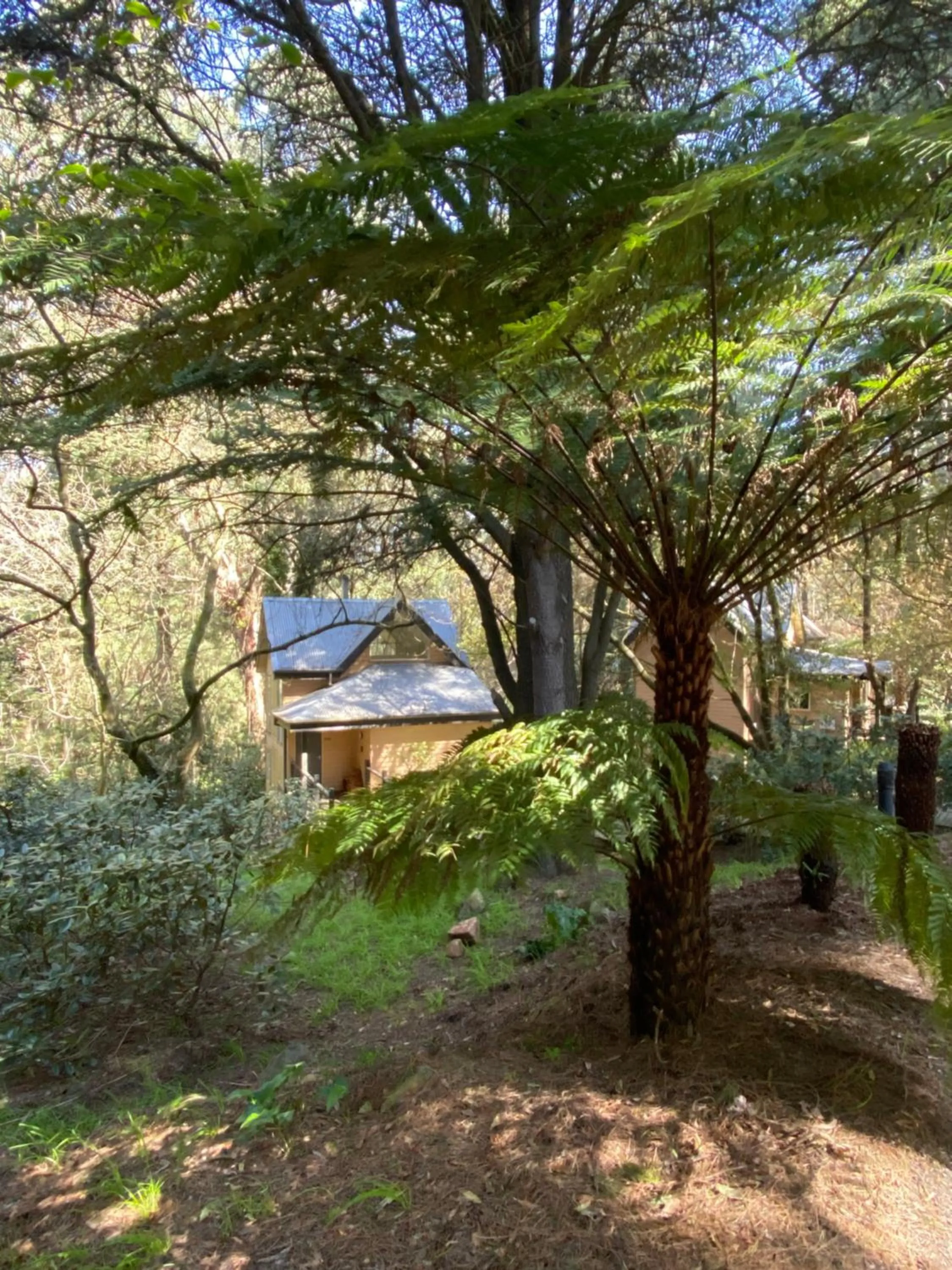 Lochiel Luxury Accommodation