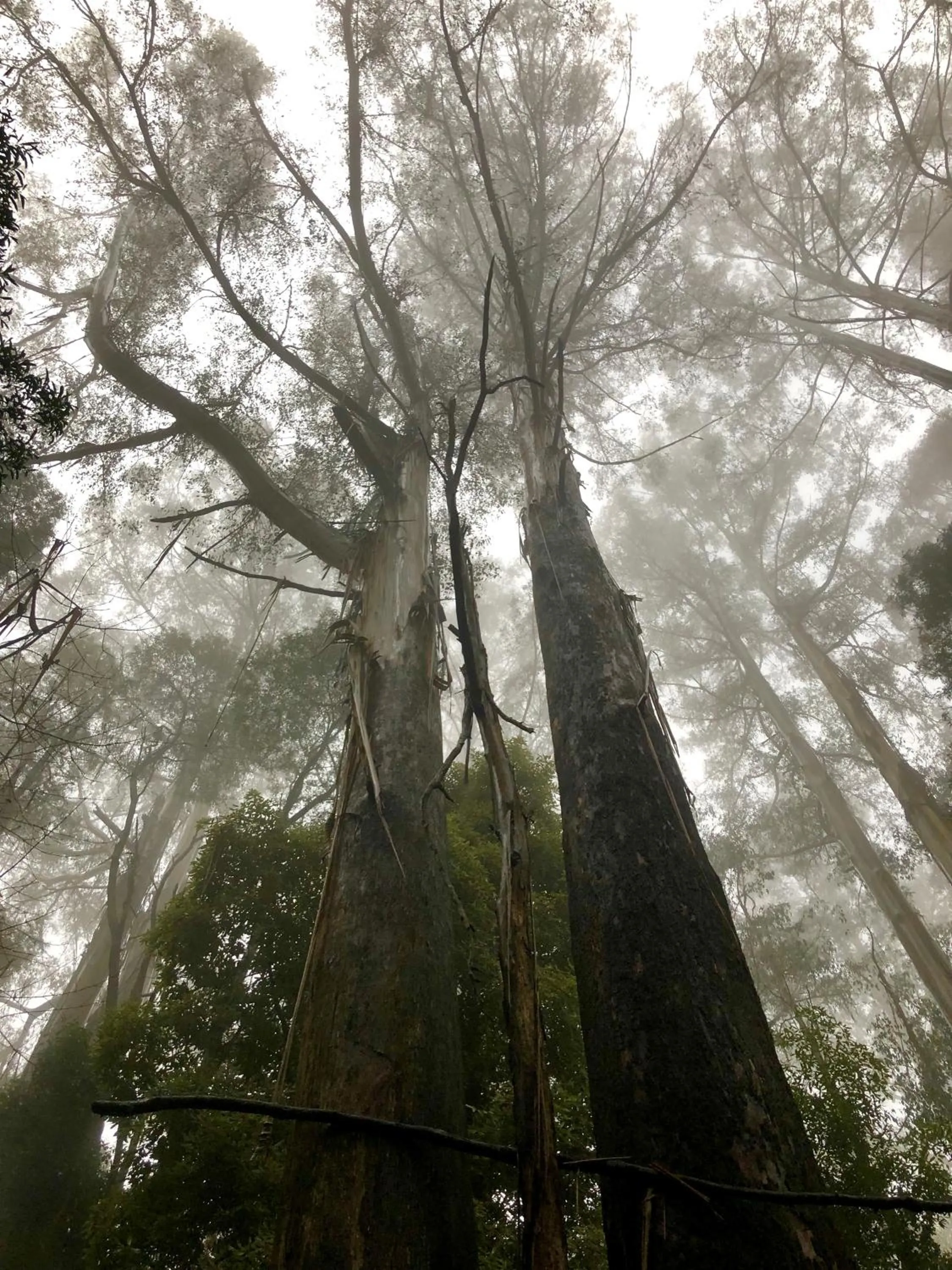 Lochiel Luxury Accommodation