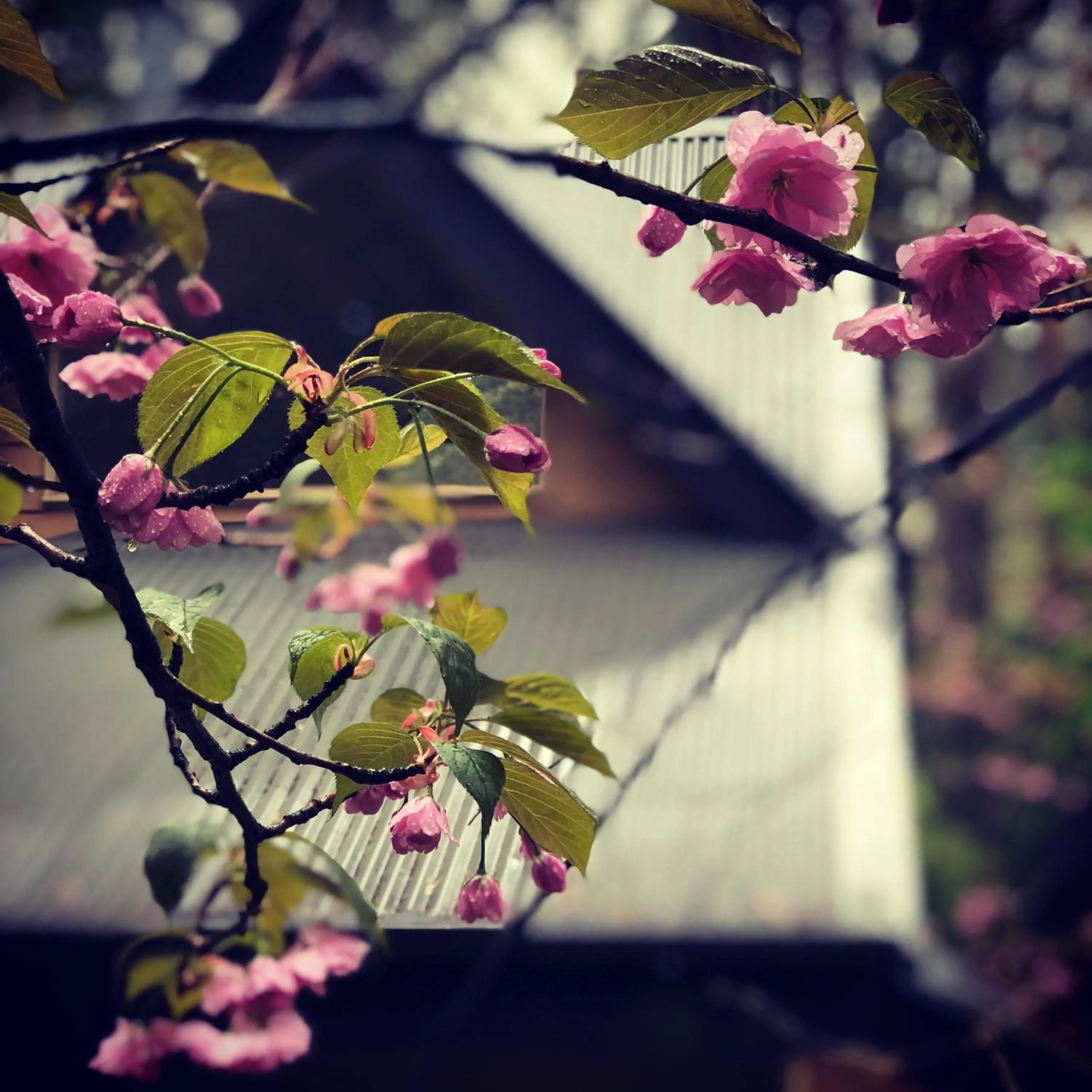 Property building in Lochiel Luxury Accommodation