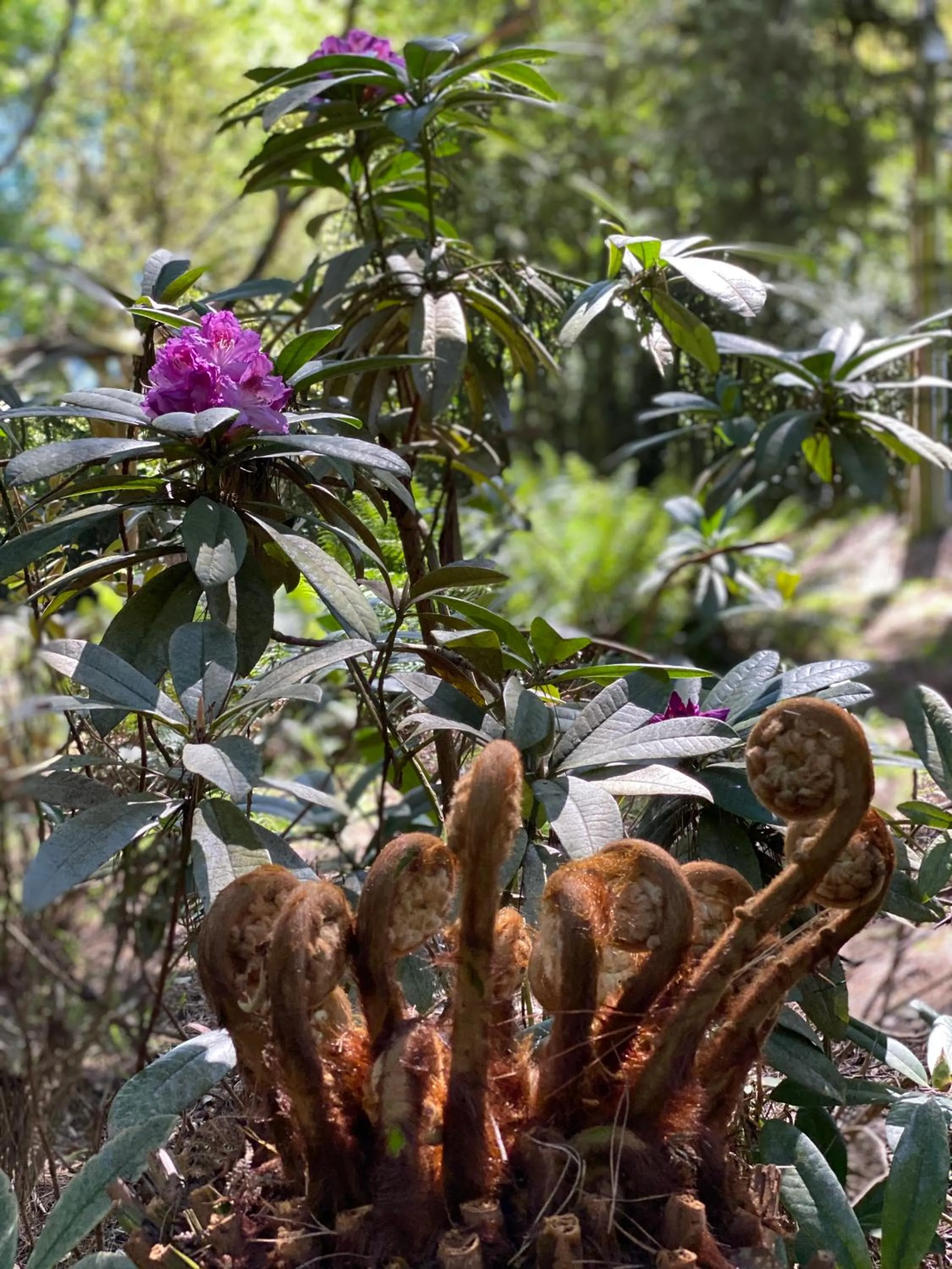 Lochiel Luxury Accommodation