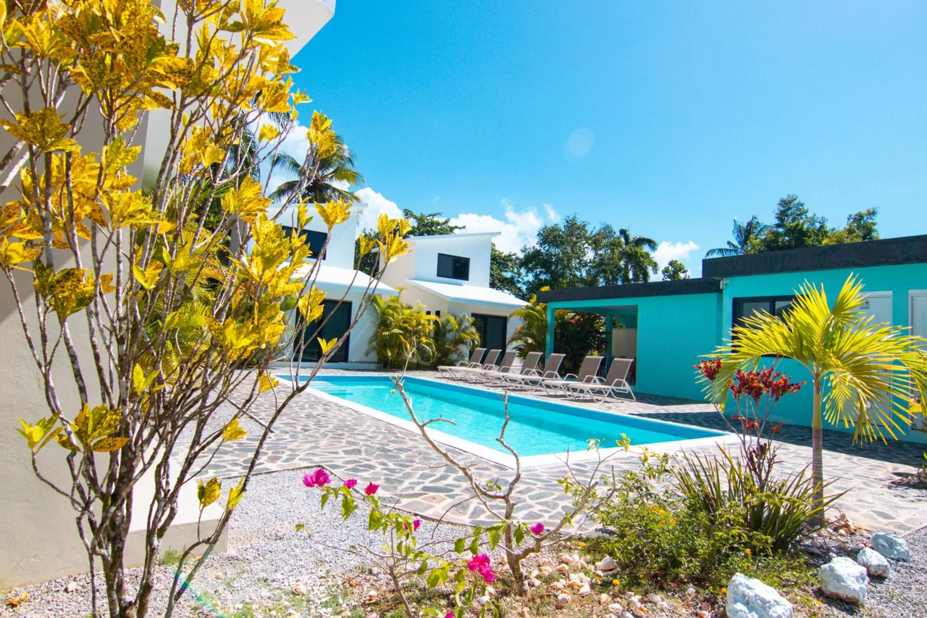 Swimming pool in Residence Las Dos Palmas