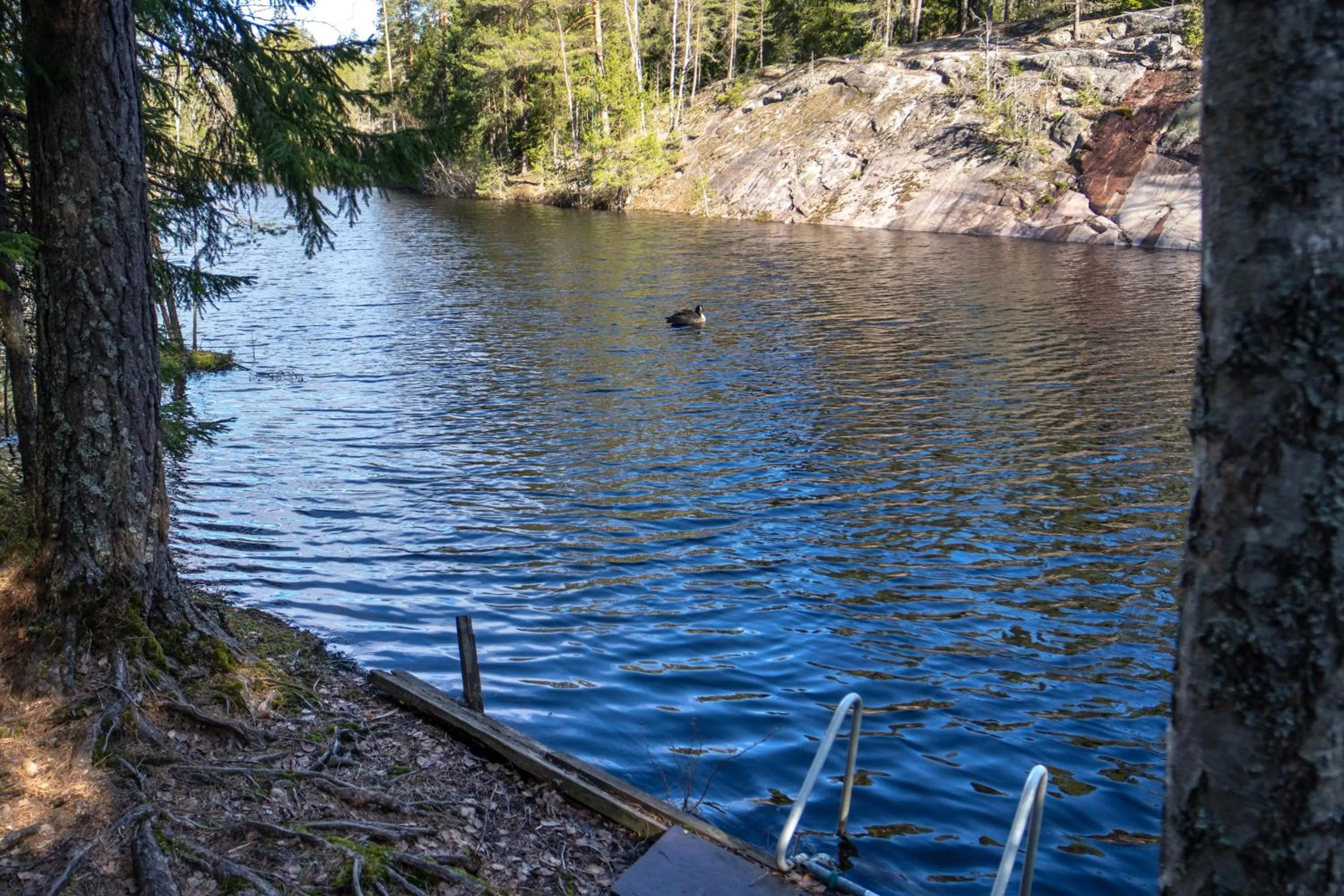 Natural landscape in Hotel Korpilampi