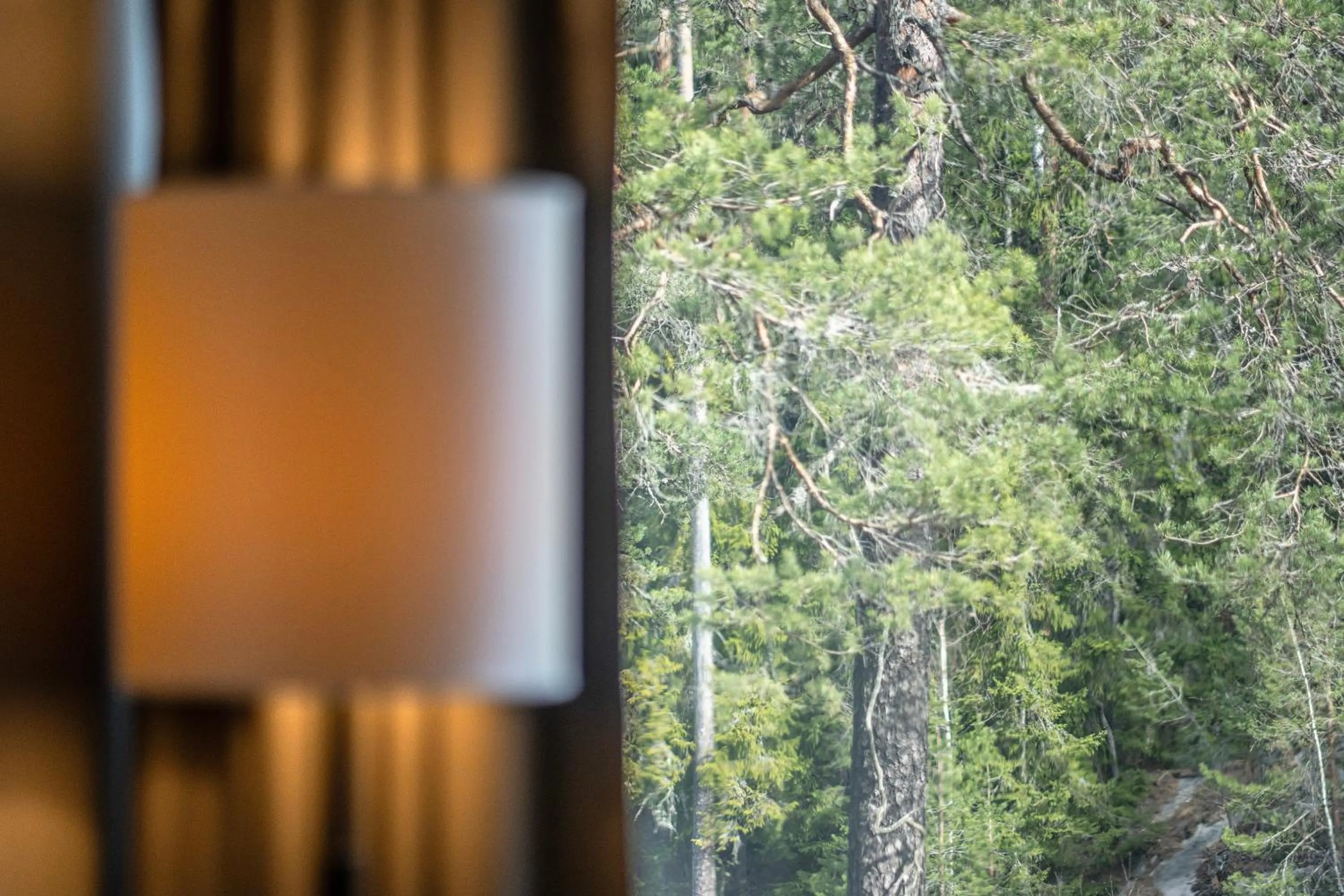 Natural landscape in Hotel Korpilampi