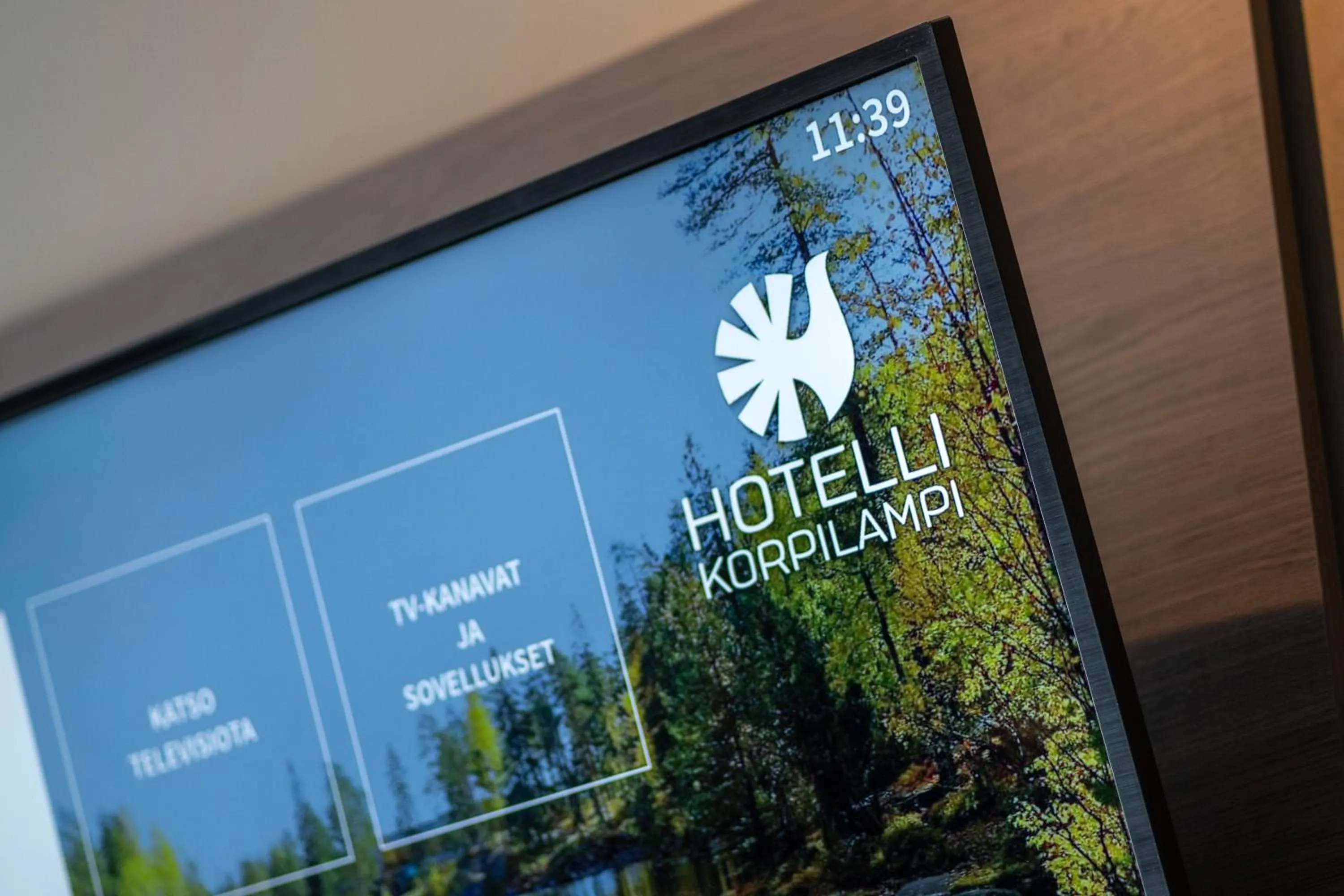 TV and multimedia in Hotel Korpilampi