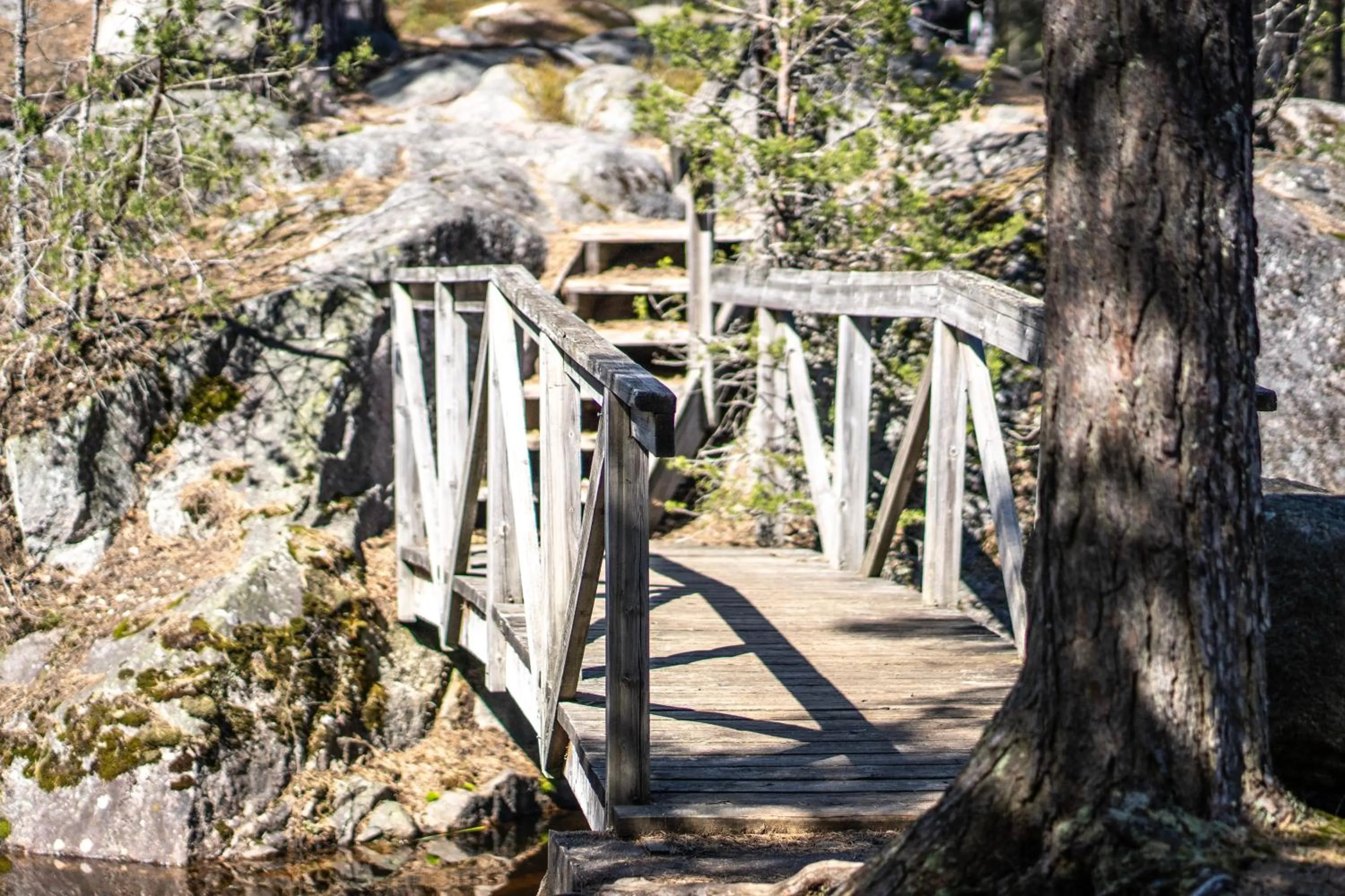 Day in Hotel Korpilampi