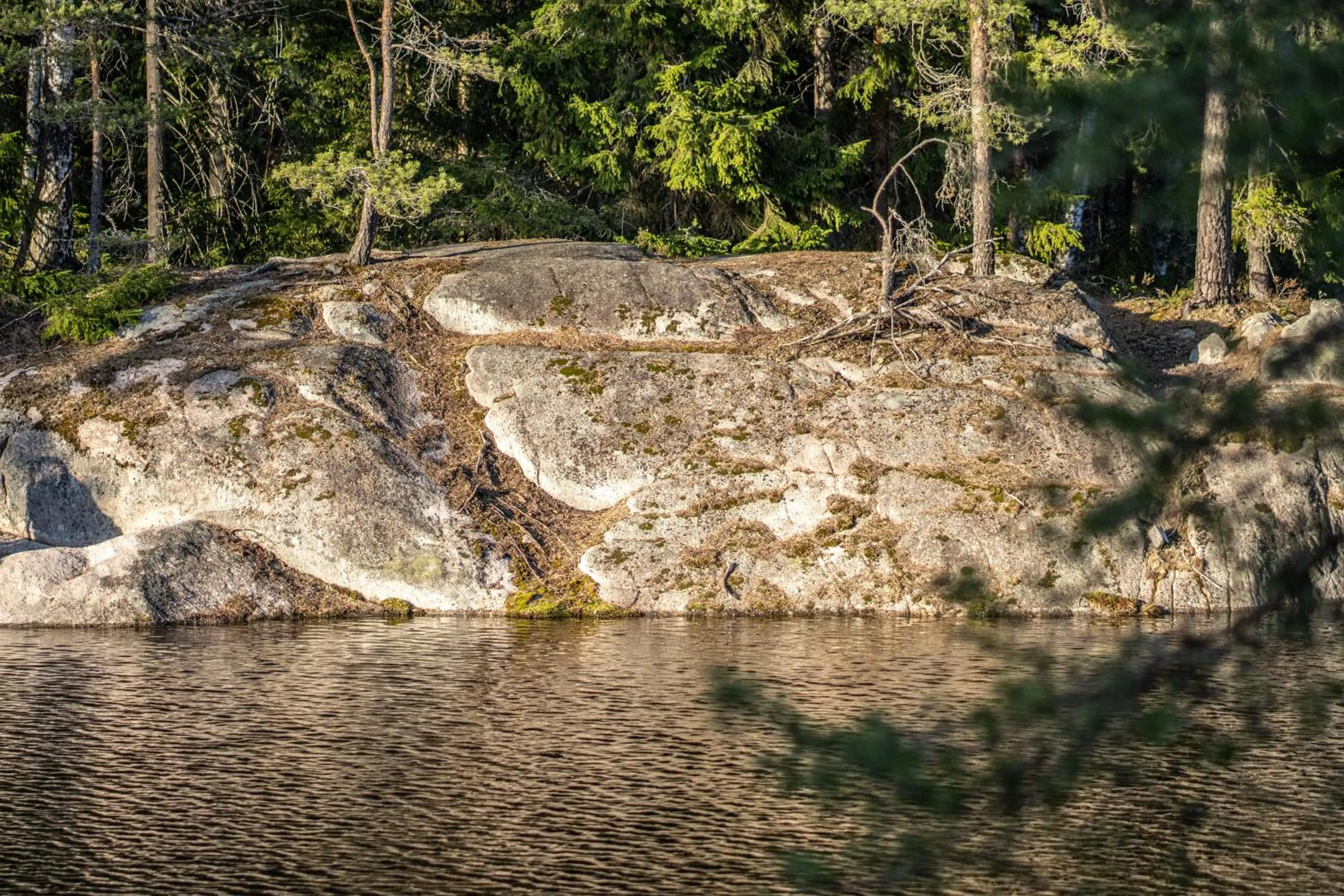 Natural landscape in Hotel Korpilampi