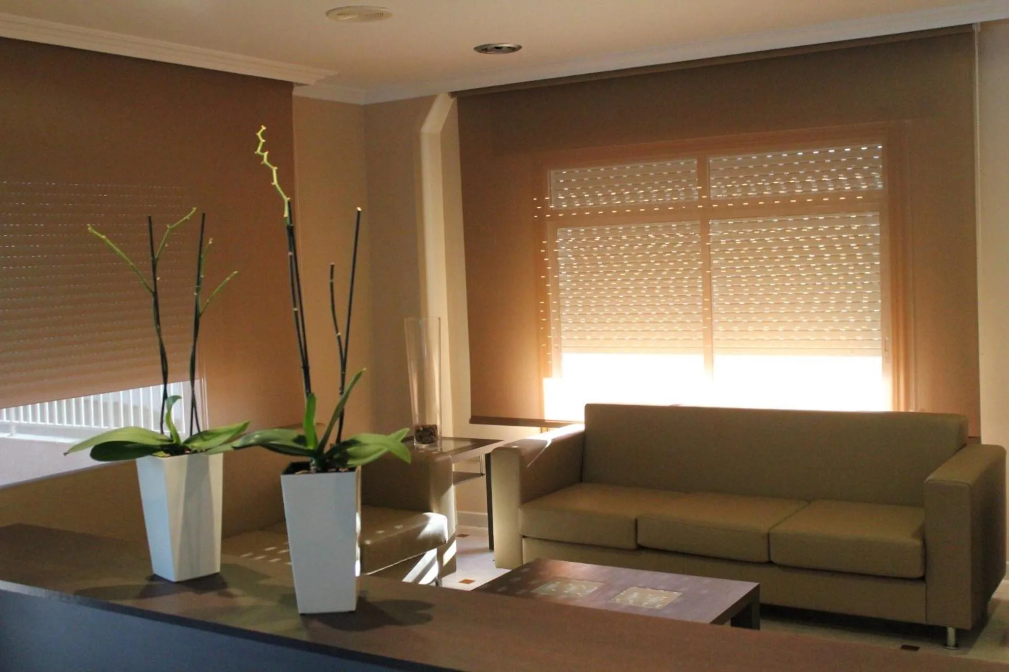 Lounge or bar in Hotel Duna