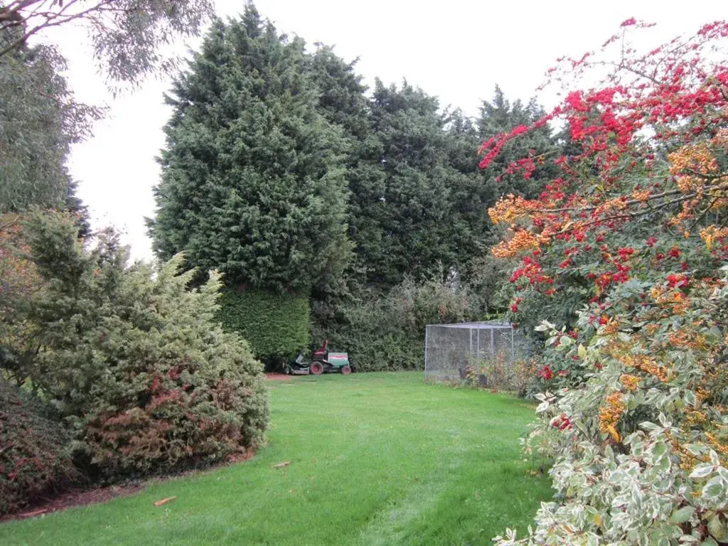 King Room with Garden View in Newmans Hall Bed & Breakfast King Room with Garden View in Newmans Hall Bed & Breakfast