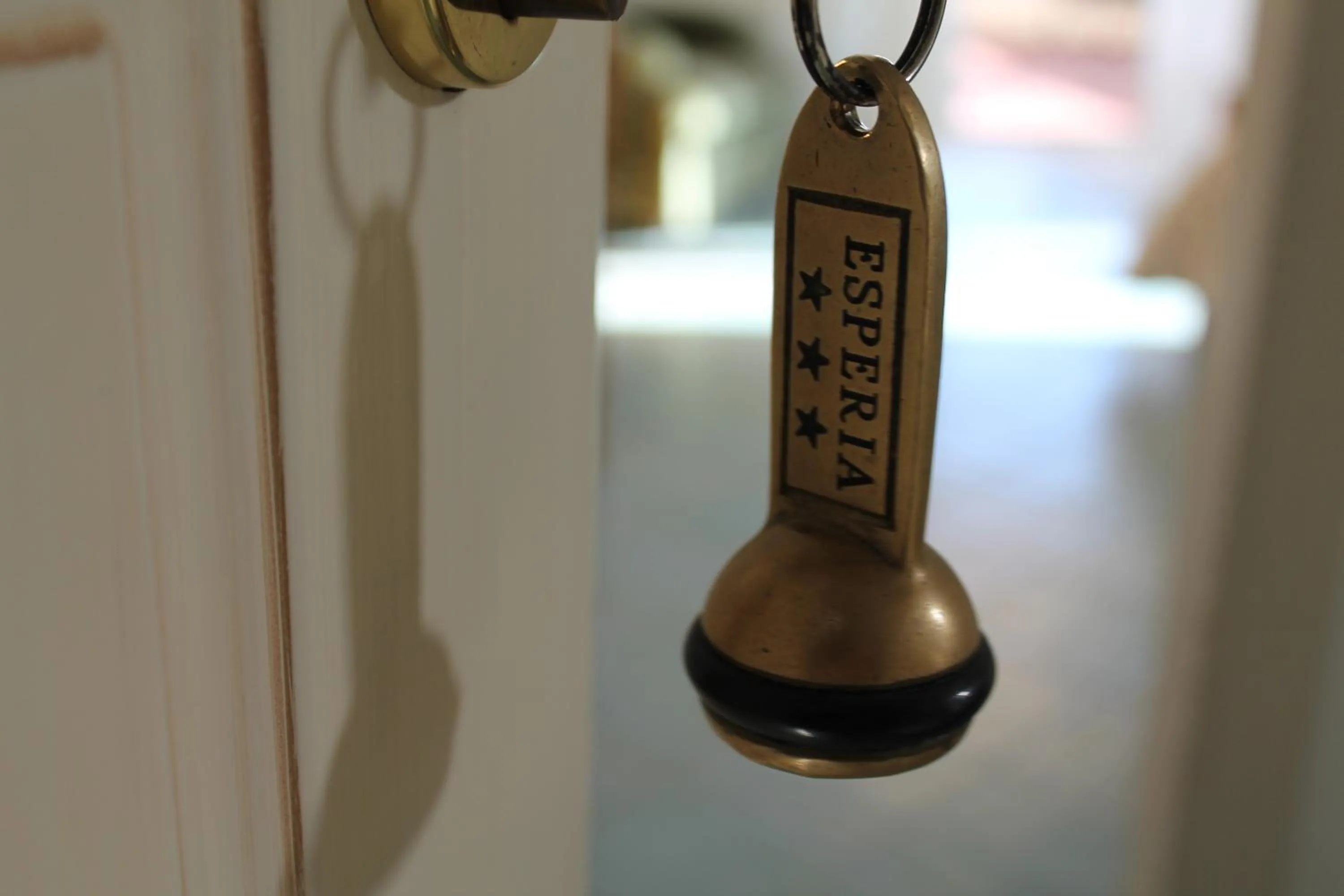 Property logo or sign in Hotel Esperia