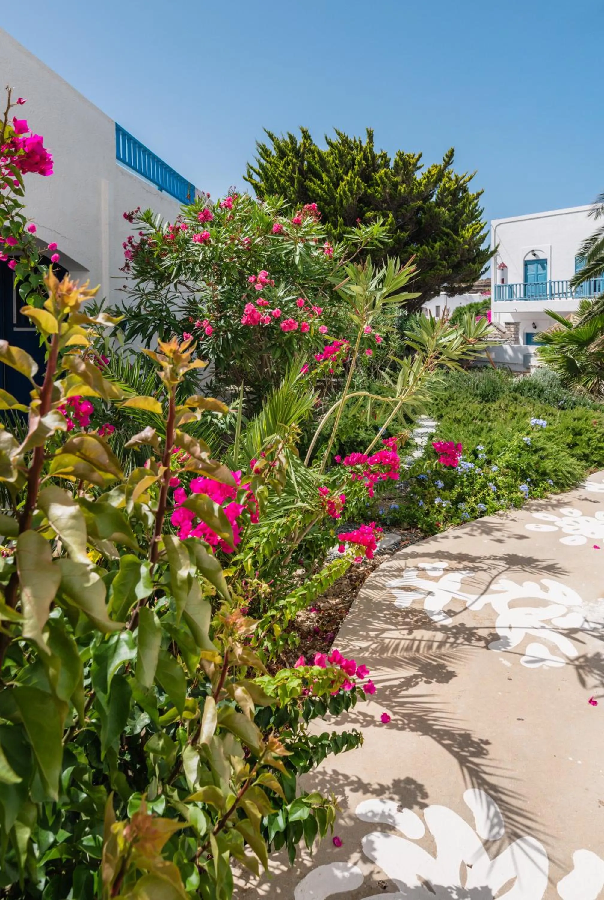 Garden in Vigla Hotel