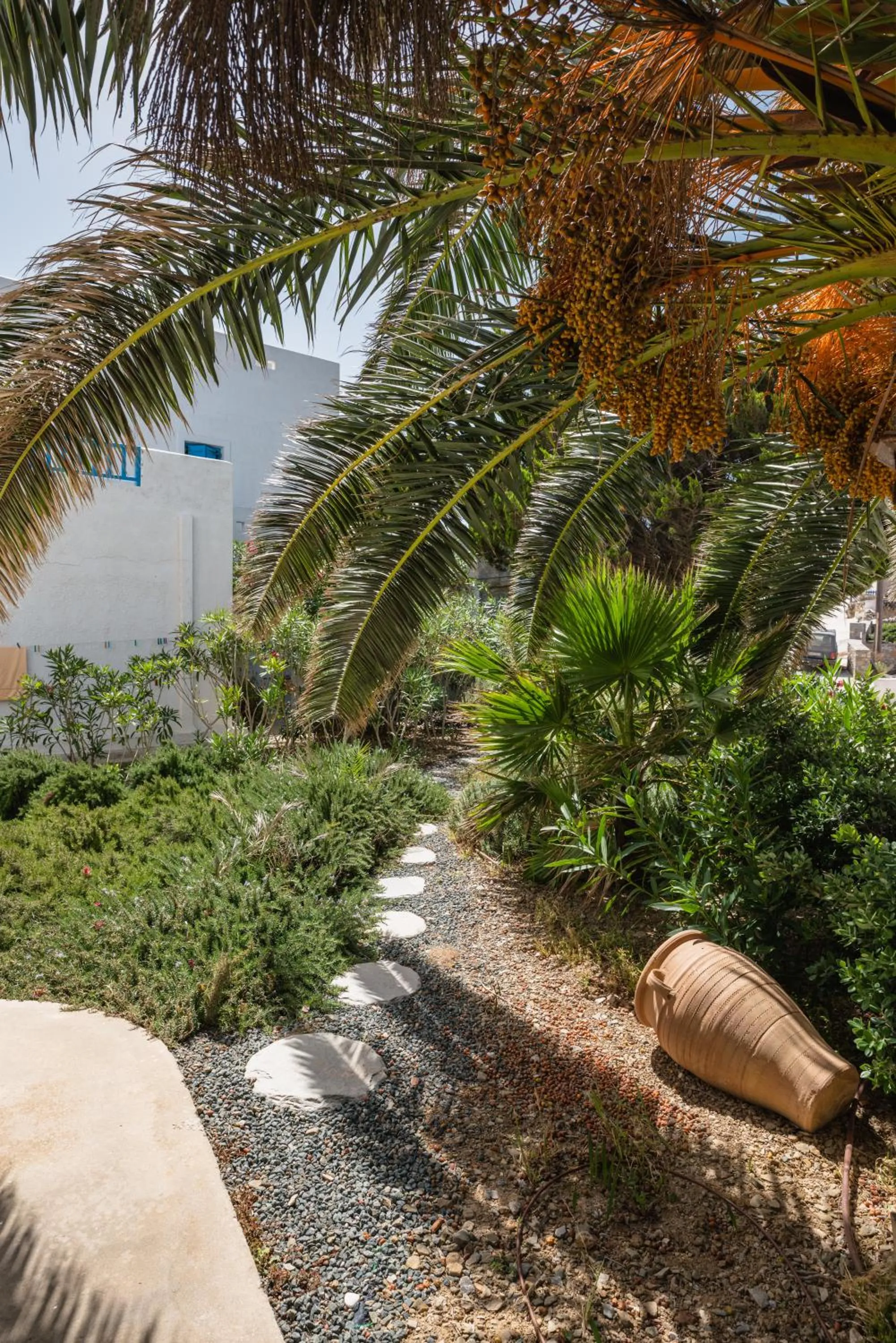 Garden in Vigla Hotel