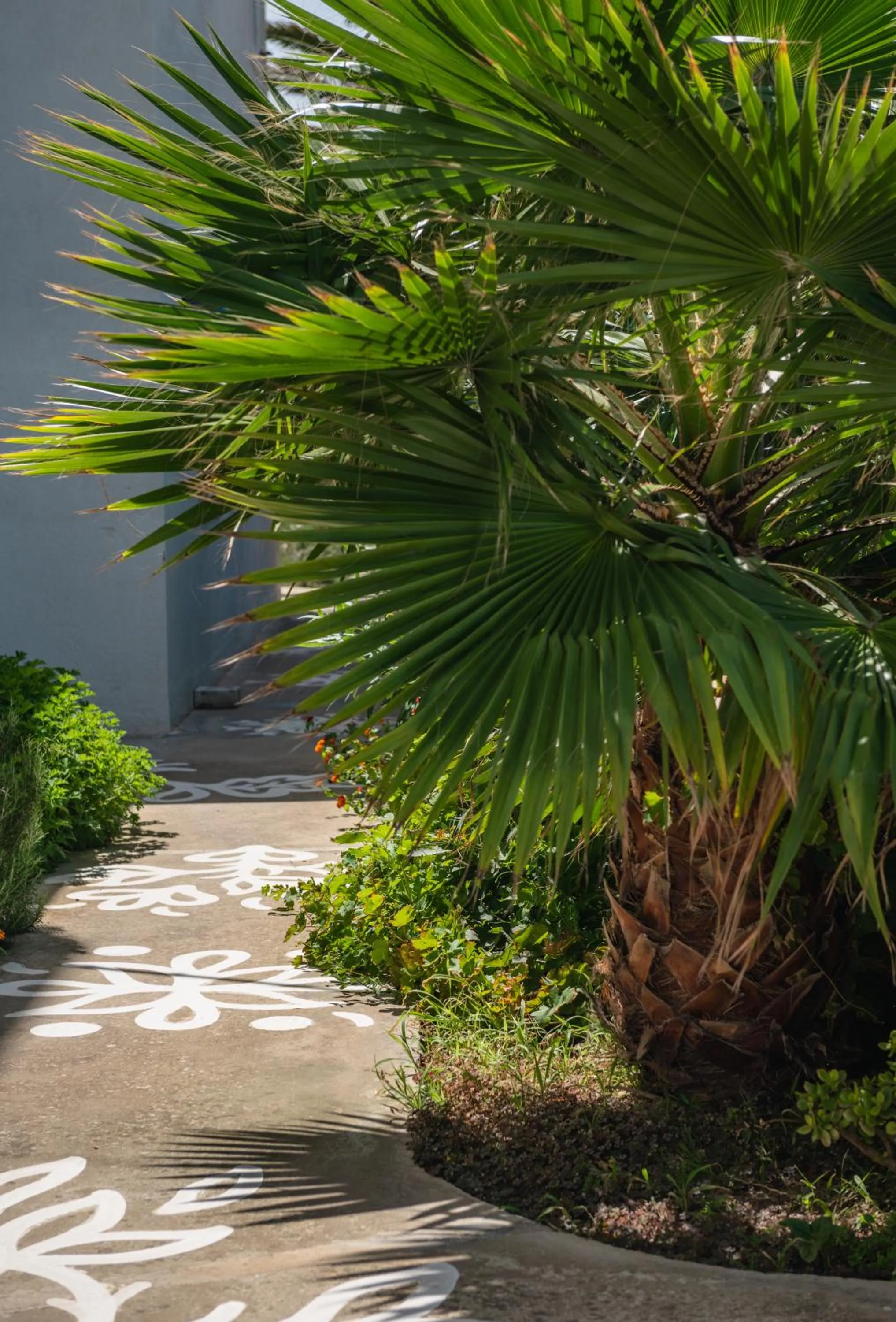 Garden in Vigla Hotel