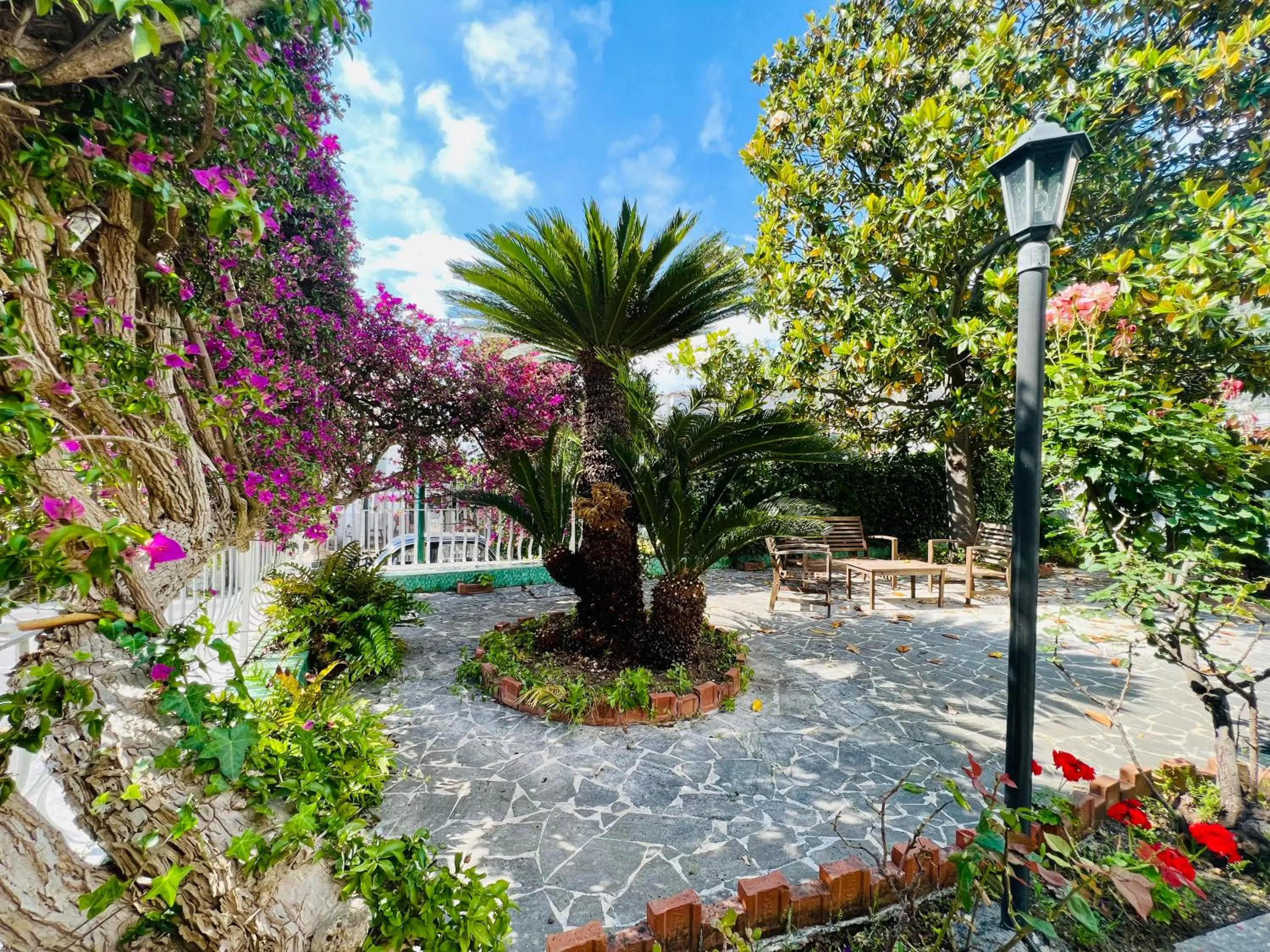 Garden in YourHome - Villa Sorrento