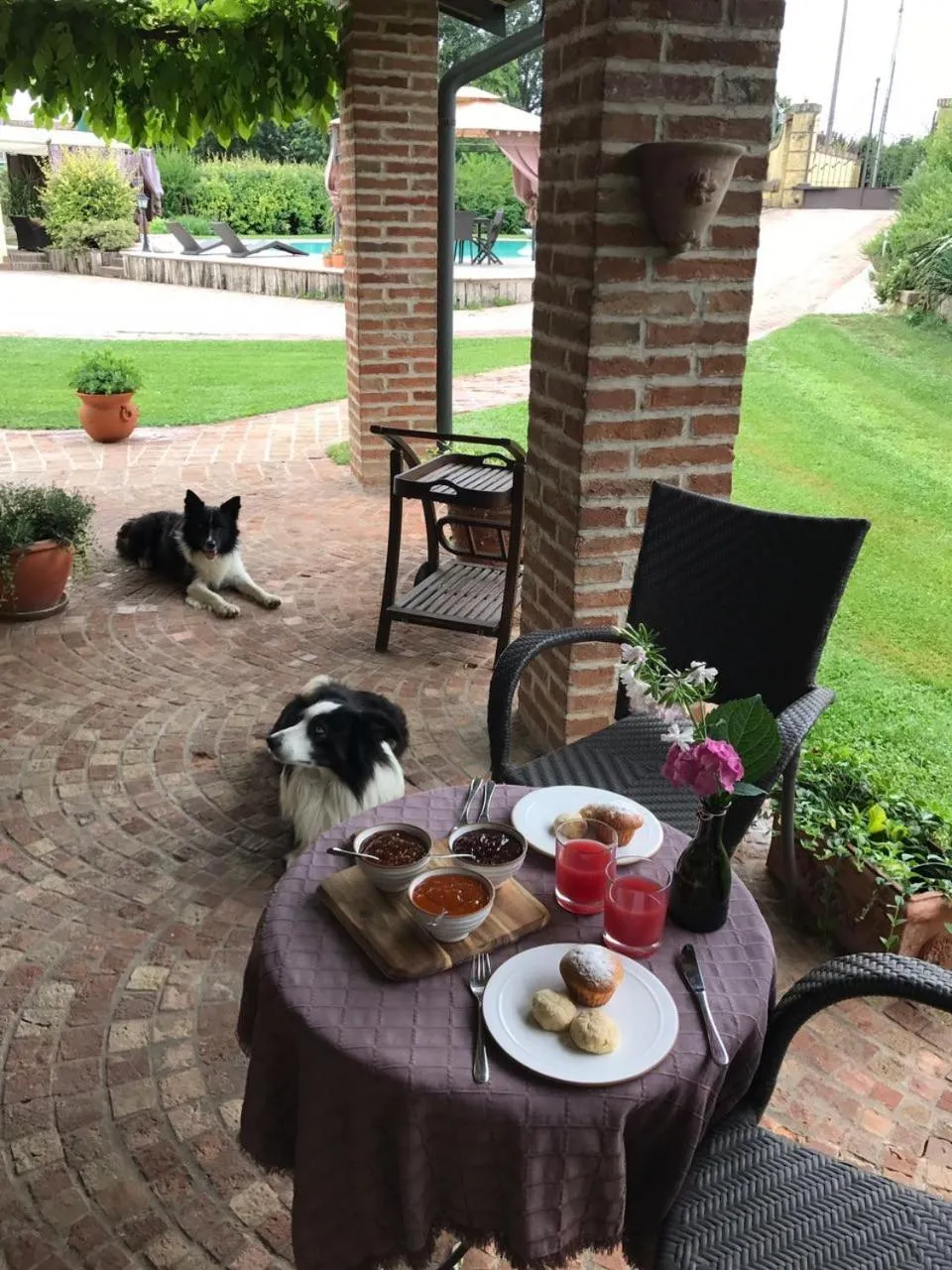 Patio in B&B Il Martin Pescatore