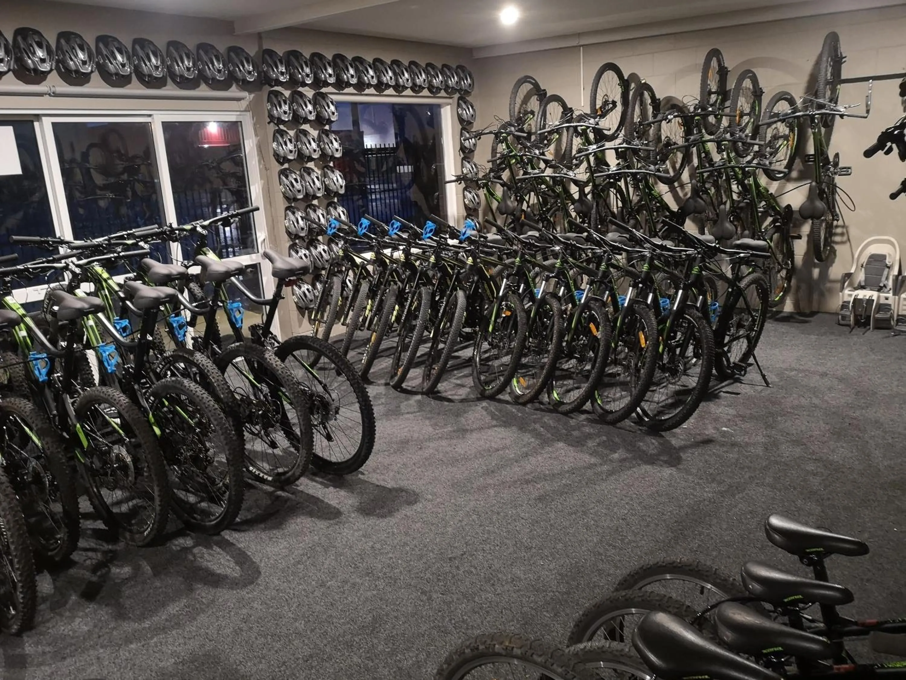 Cycling in Twin Coast Adventures