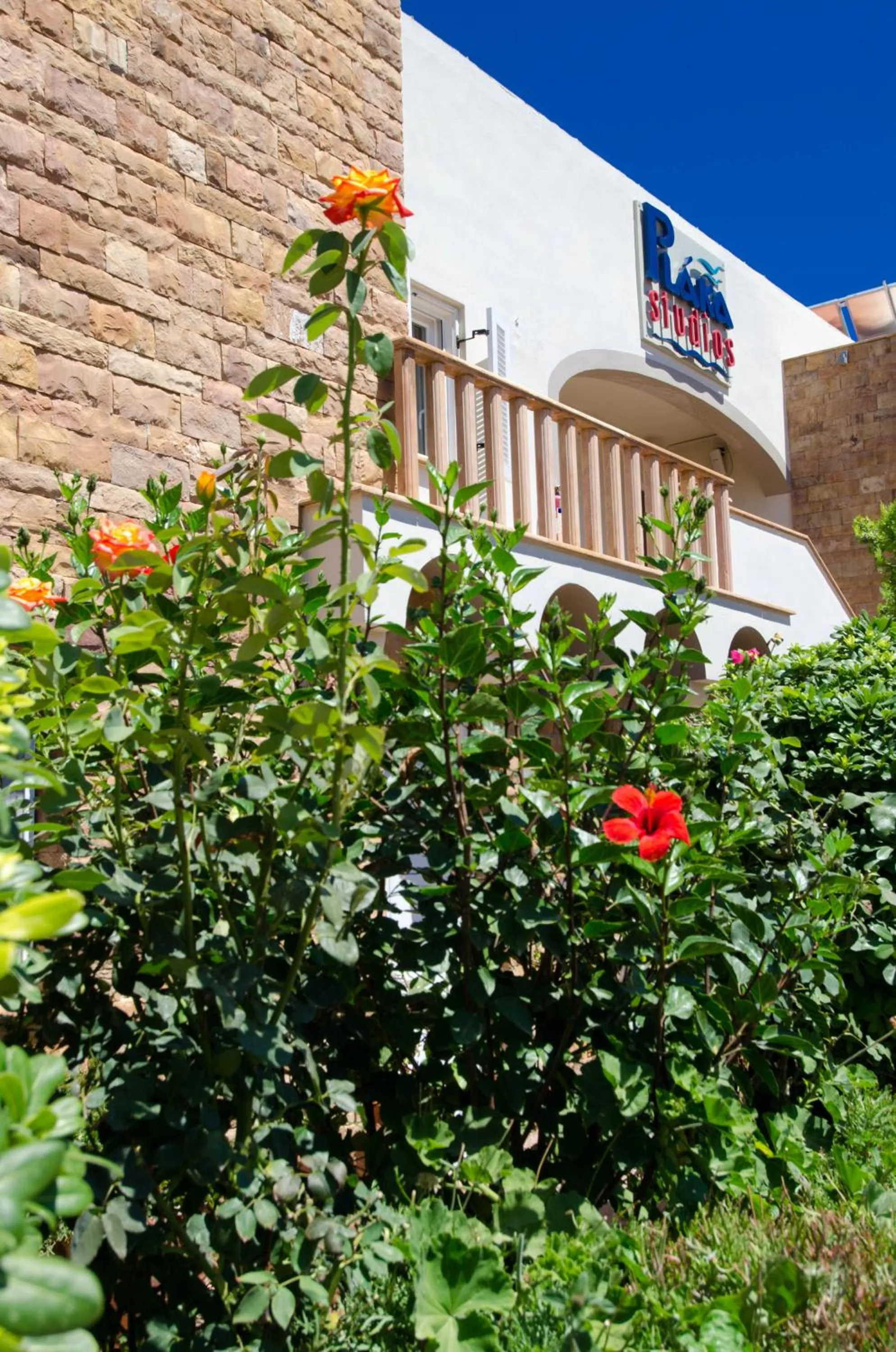 Garden in Plaka Studios