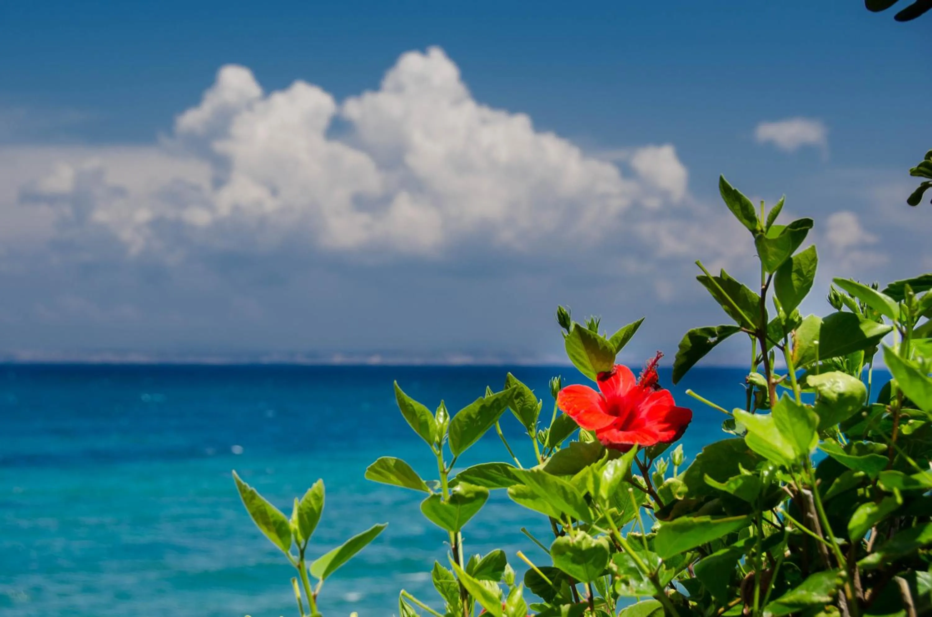 Sea view in Plaka Studios