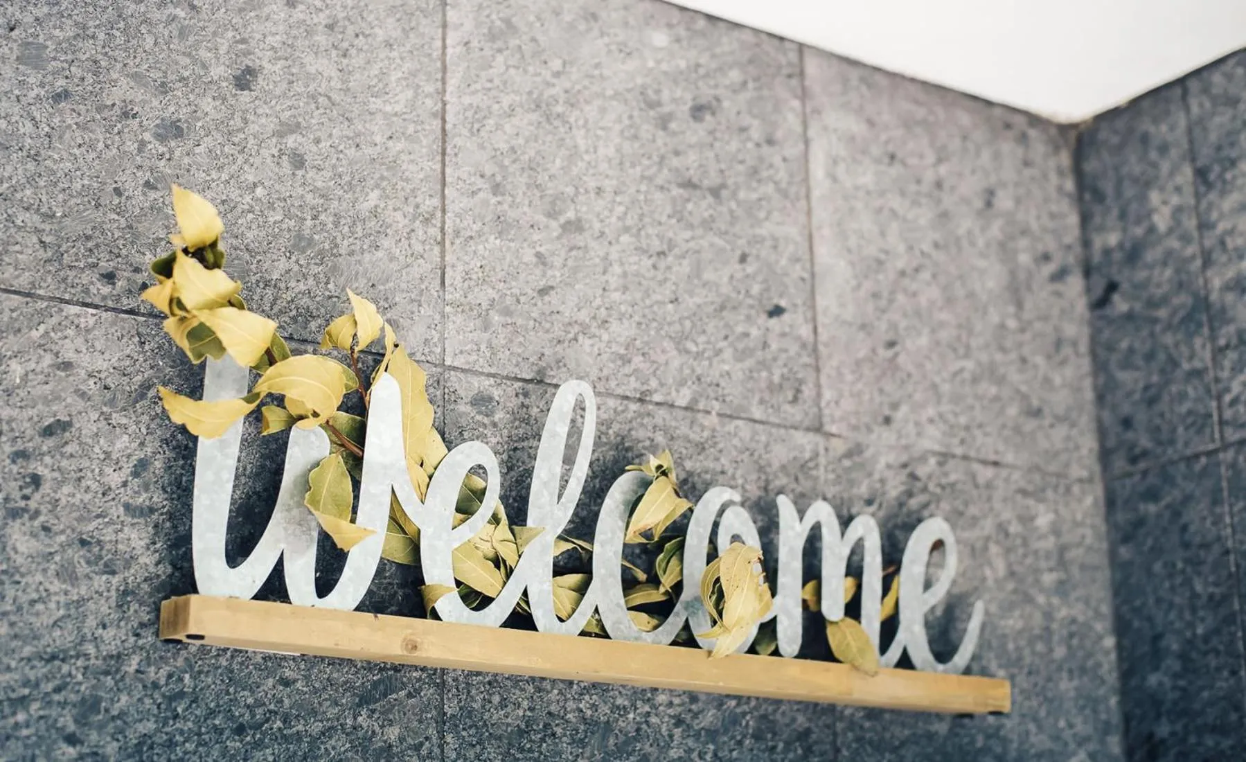 Casa Ferran, amplias habitaciones y apartamentos de montaña