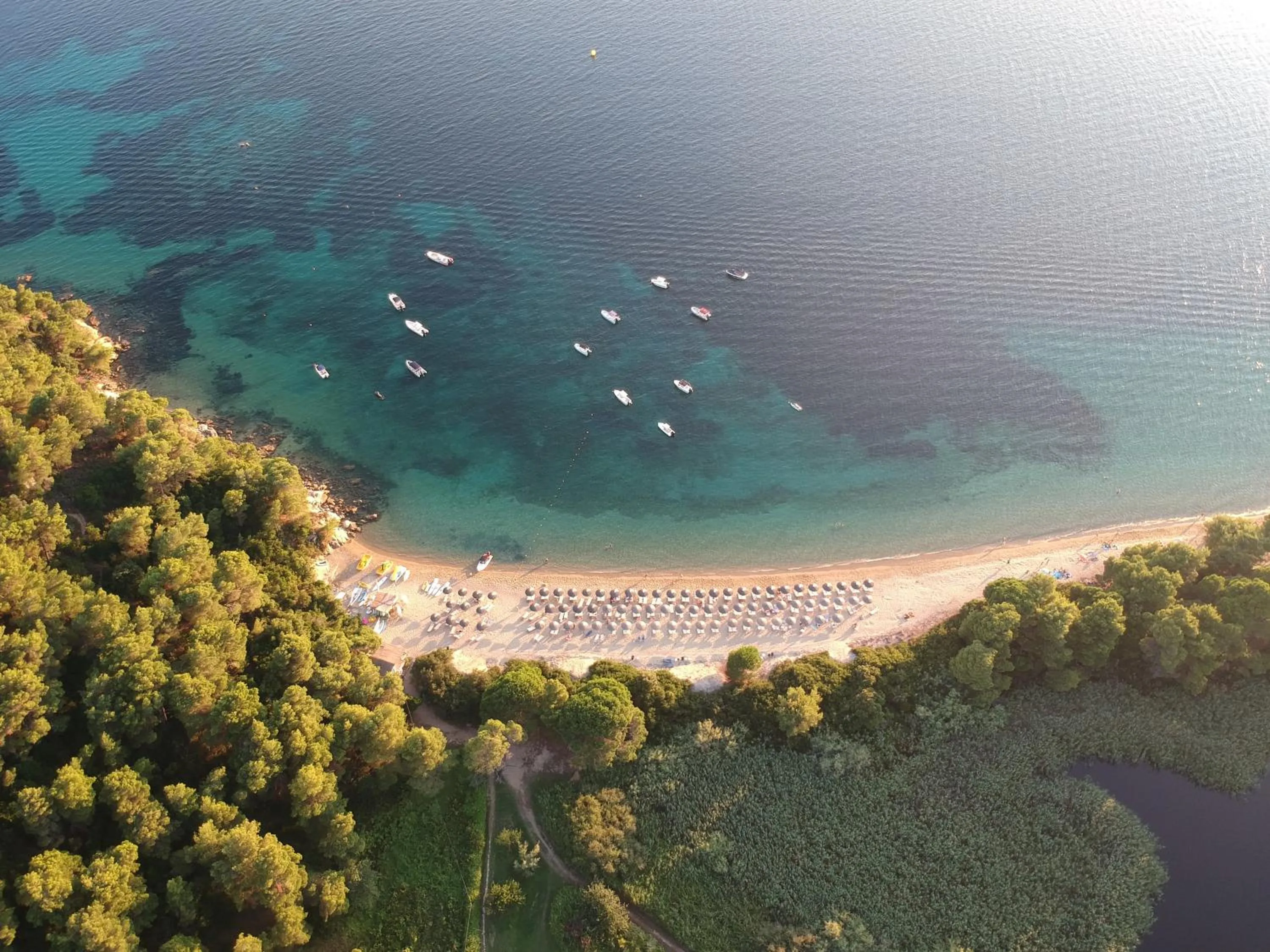 Beach in Skiathos Holidays Suites & Villas