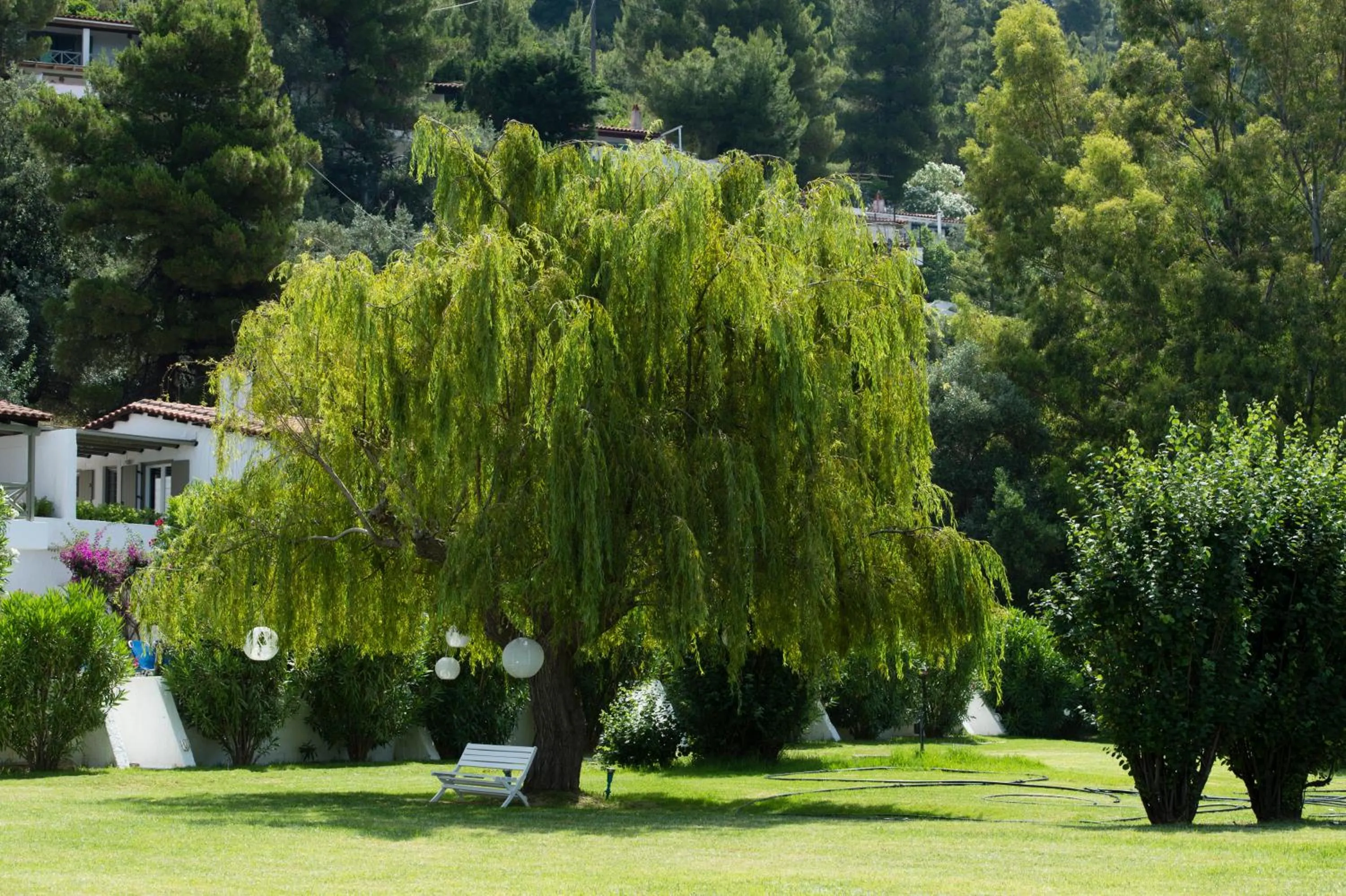 Garden in Skiathos Holidays Suites & Villas