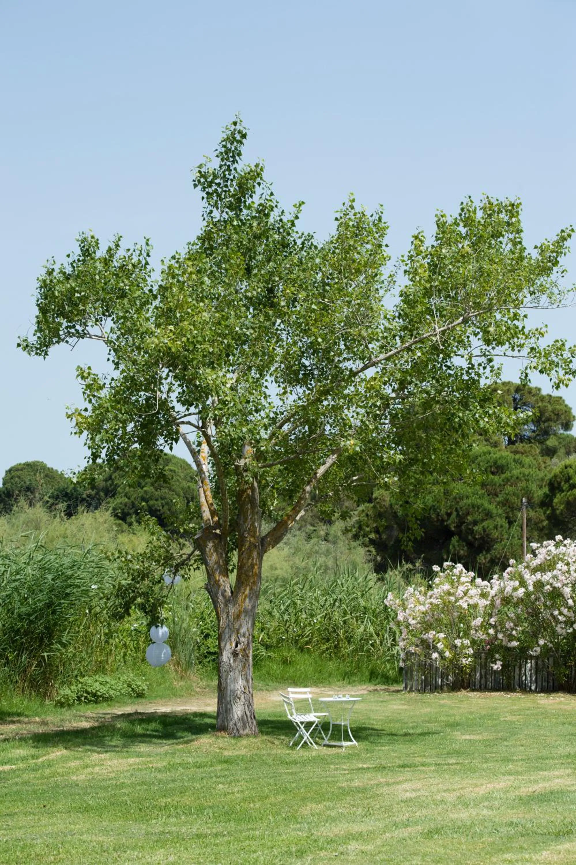 Garden in Skiathos Holidays Suites & Villas