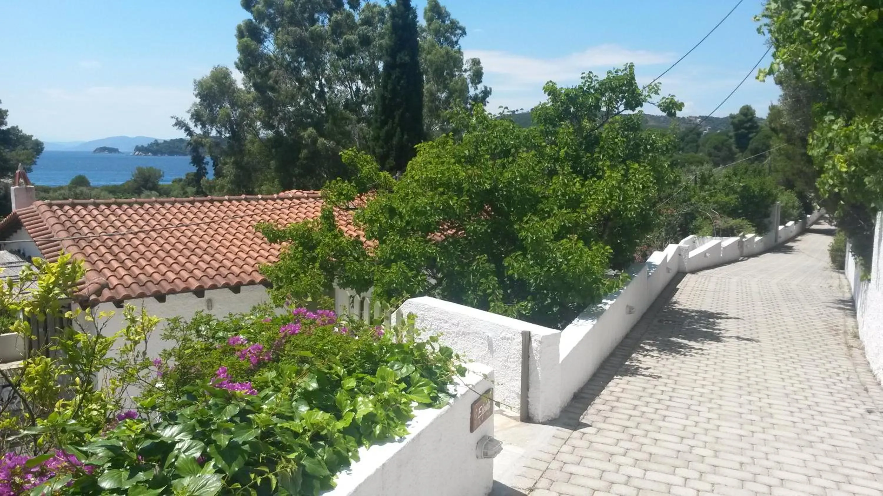 Neighbourhood in Skiathos Holidays Suites & Villas