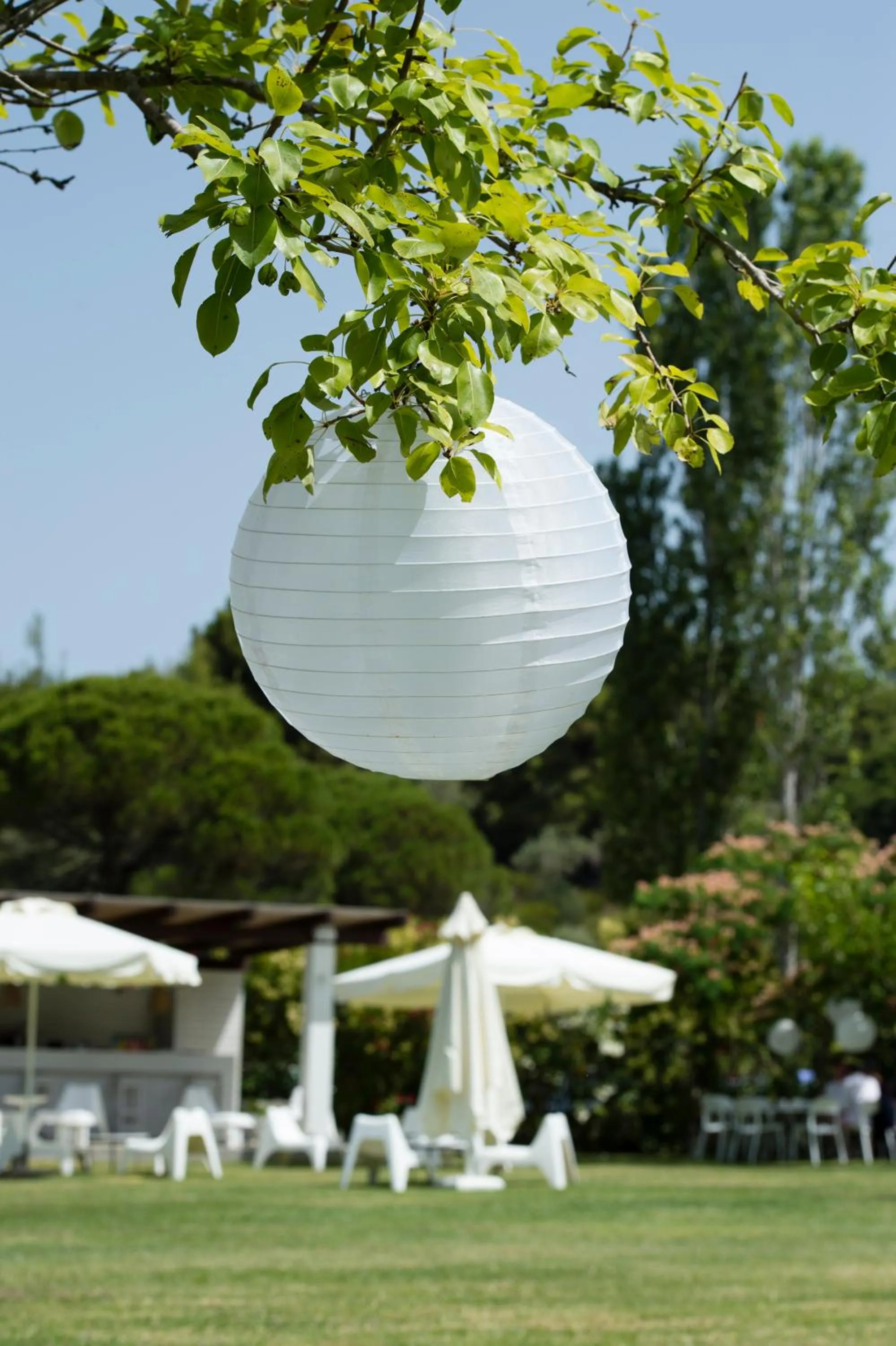 Area and facilities in Skiathos Holidays Suites & Villas