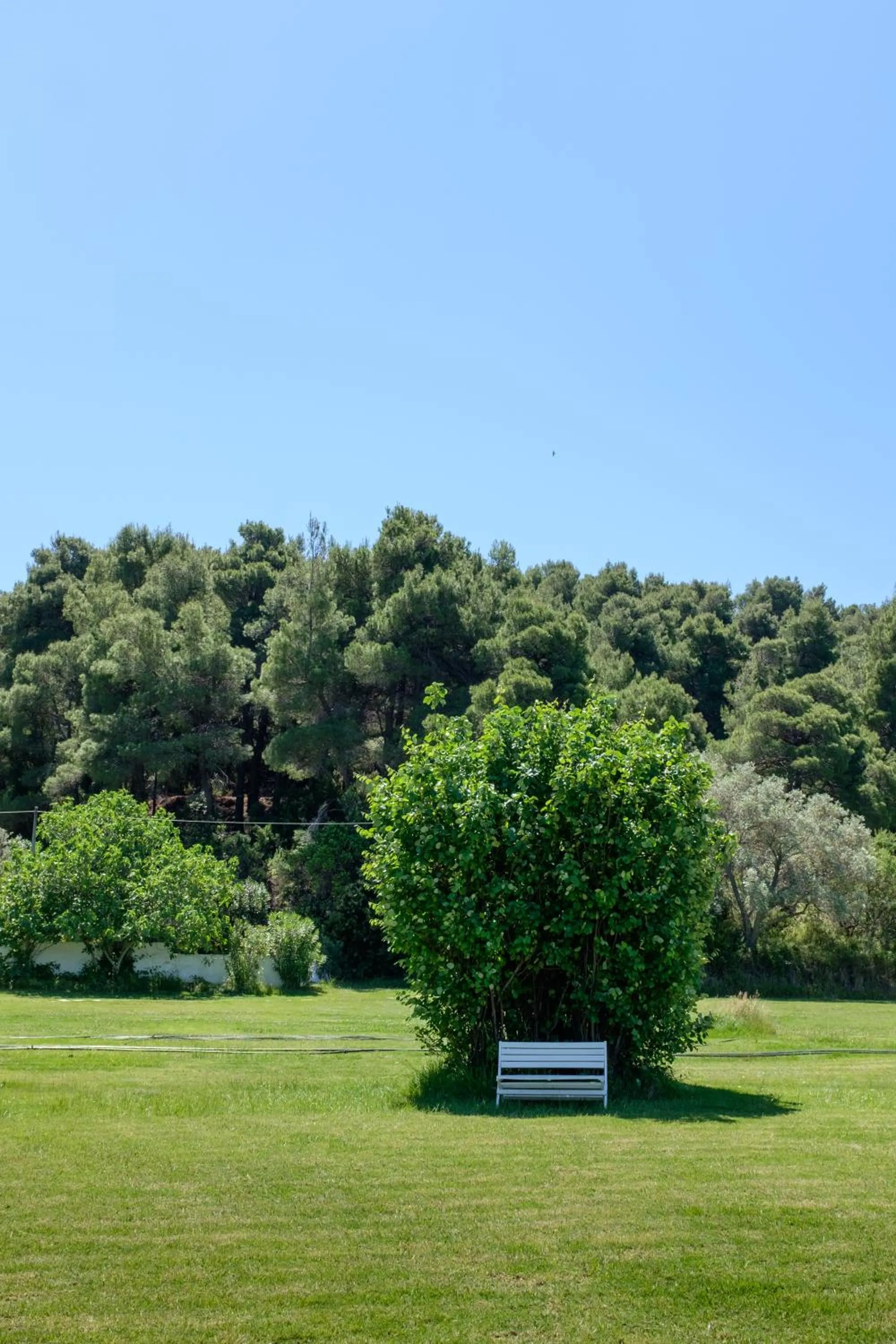 Garden in Skiathos Holidays Suites & Villas