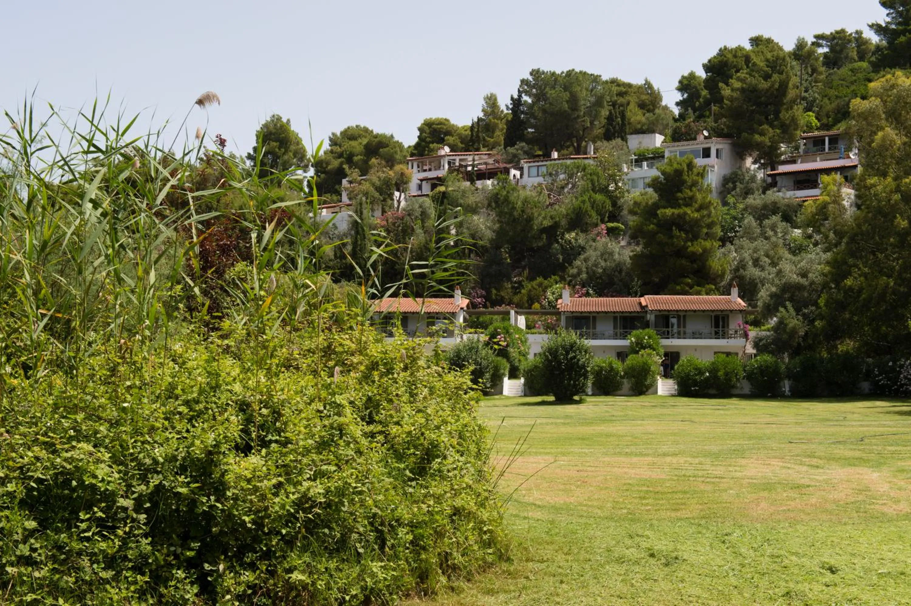 Garden in Skiathos Holidays Suites & Villas
