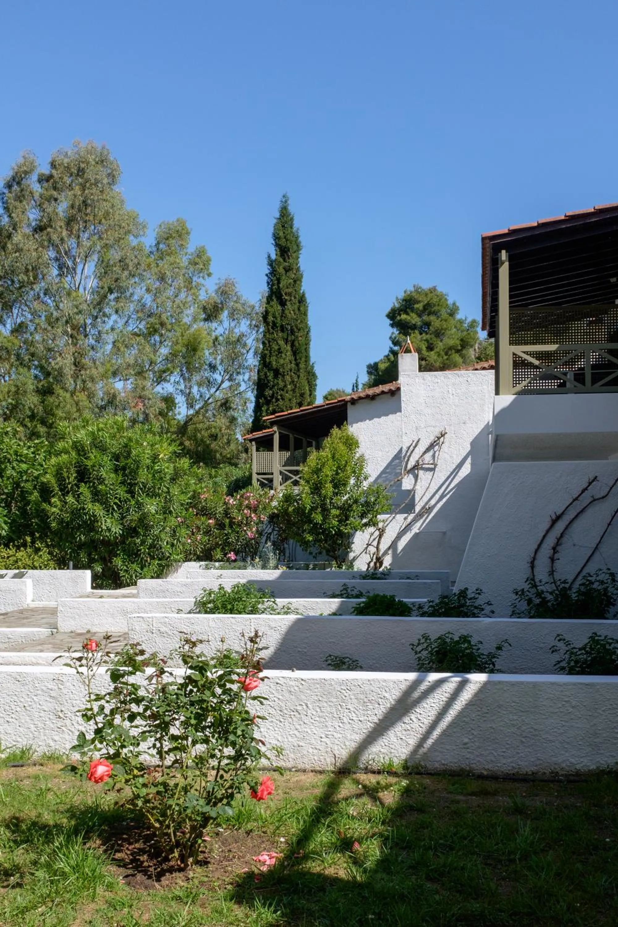Garden in Skiathos Holidays Suites & Villas