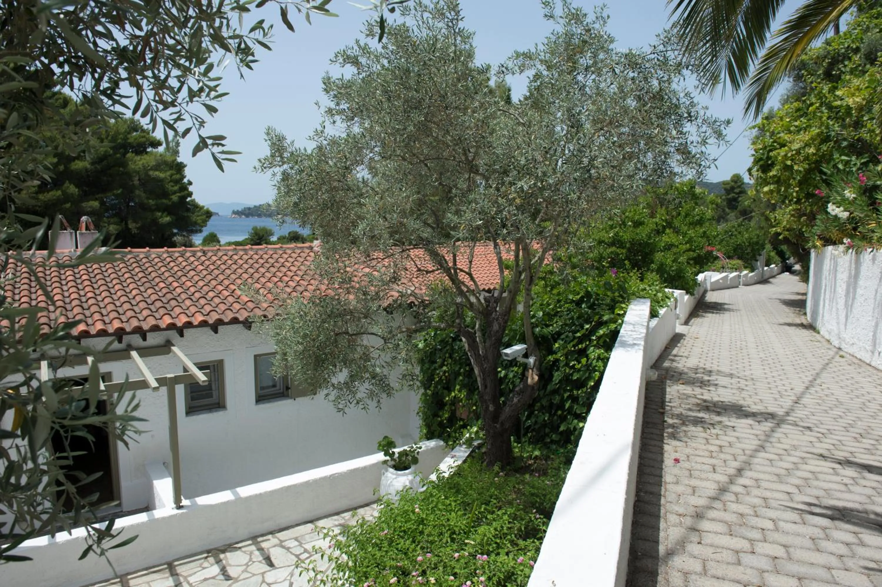 Facade/entrance in Skiathos Holidays Suites & Villas