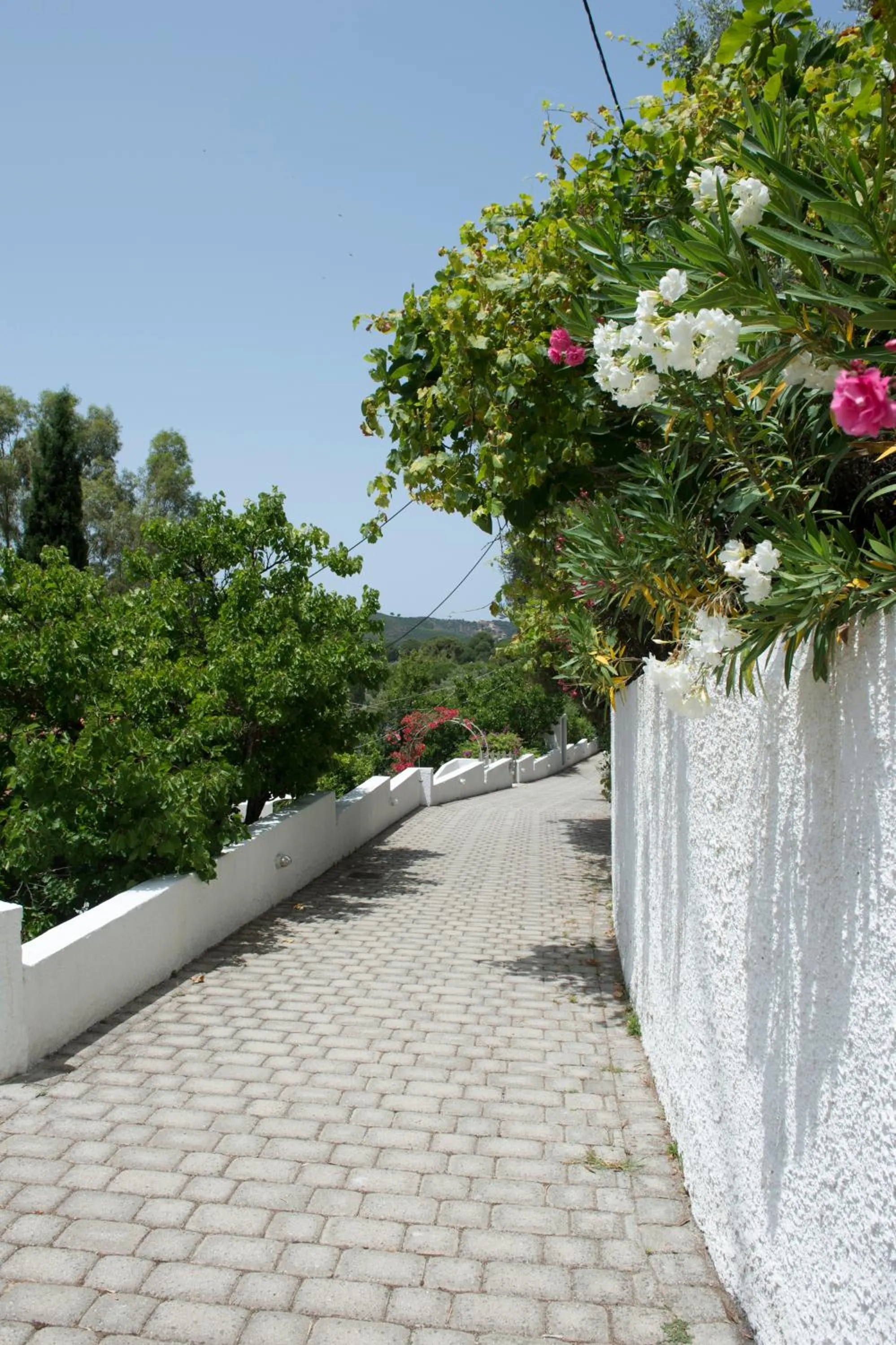 Area and facilities in Skiathos Holidays Suites & Villas