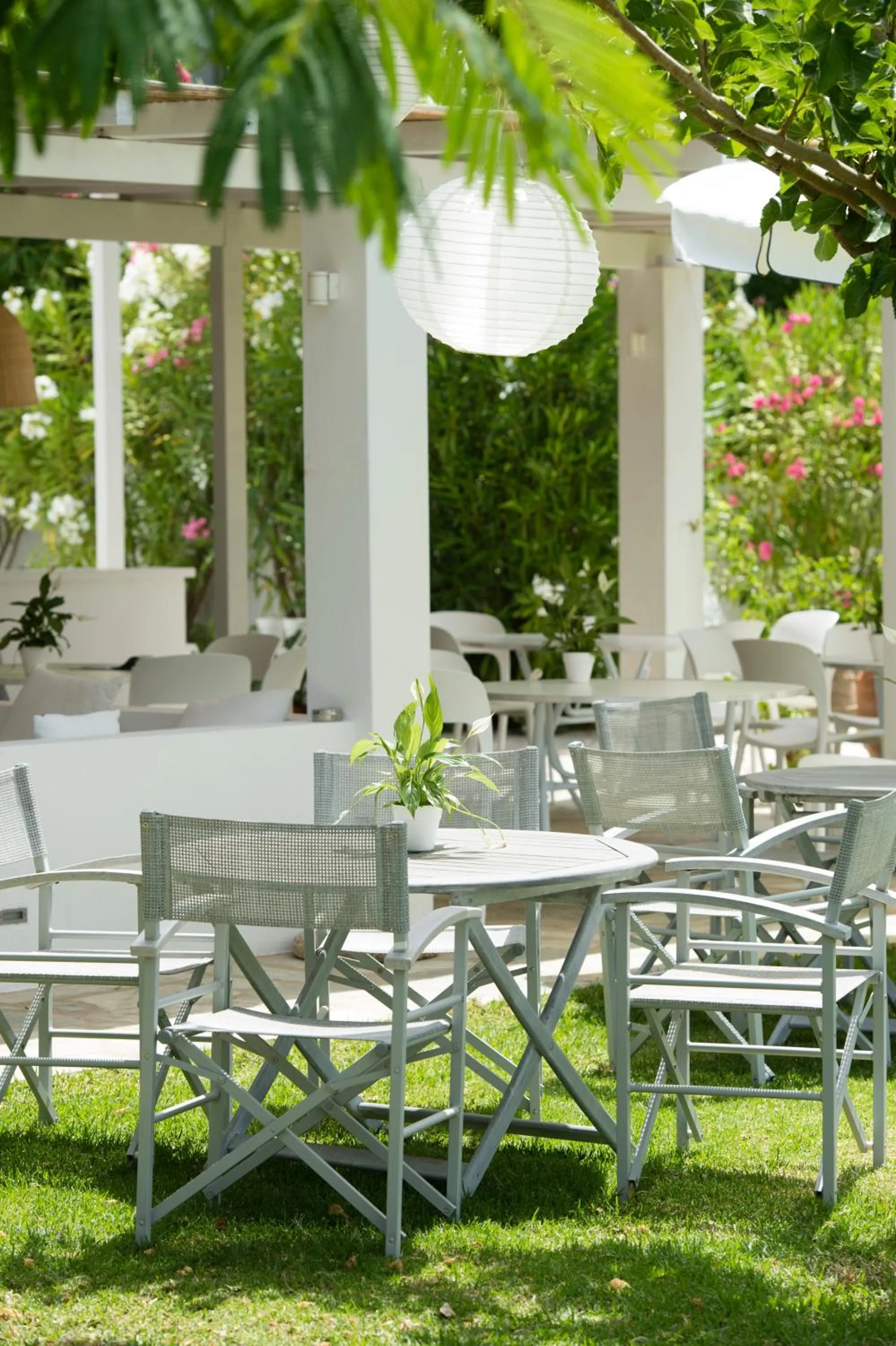 Patio in Skiathos Holidays Suites & Villas