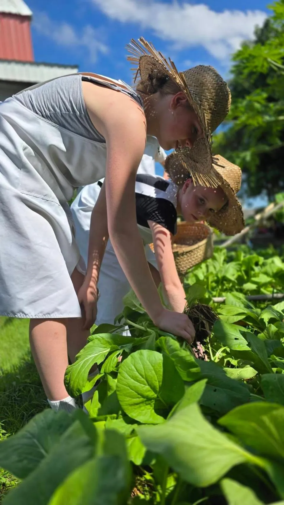 Activities in Phuket Nonnita Boutique Resort - SHA Plus