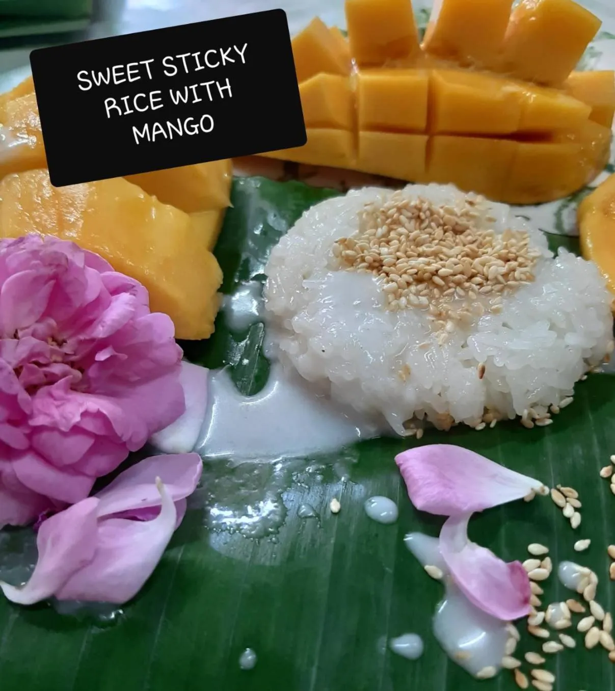 Restaurant/places to eat in Phuket Nonnita Boutique Resort - SHA Plus