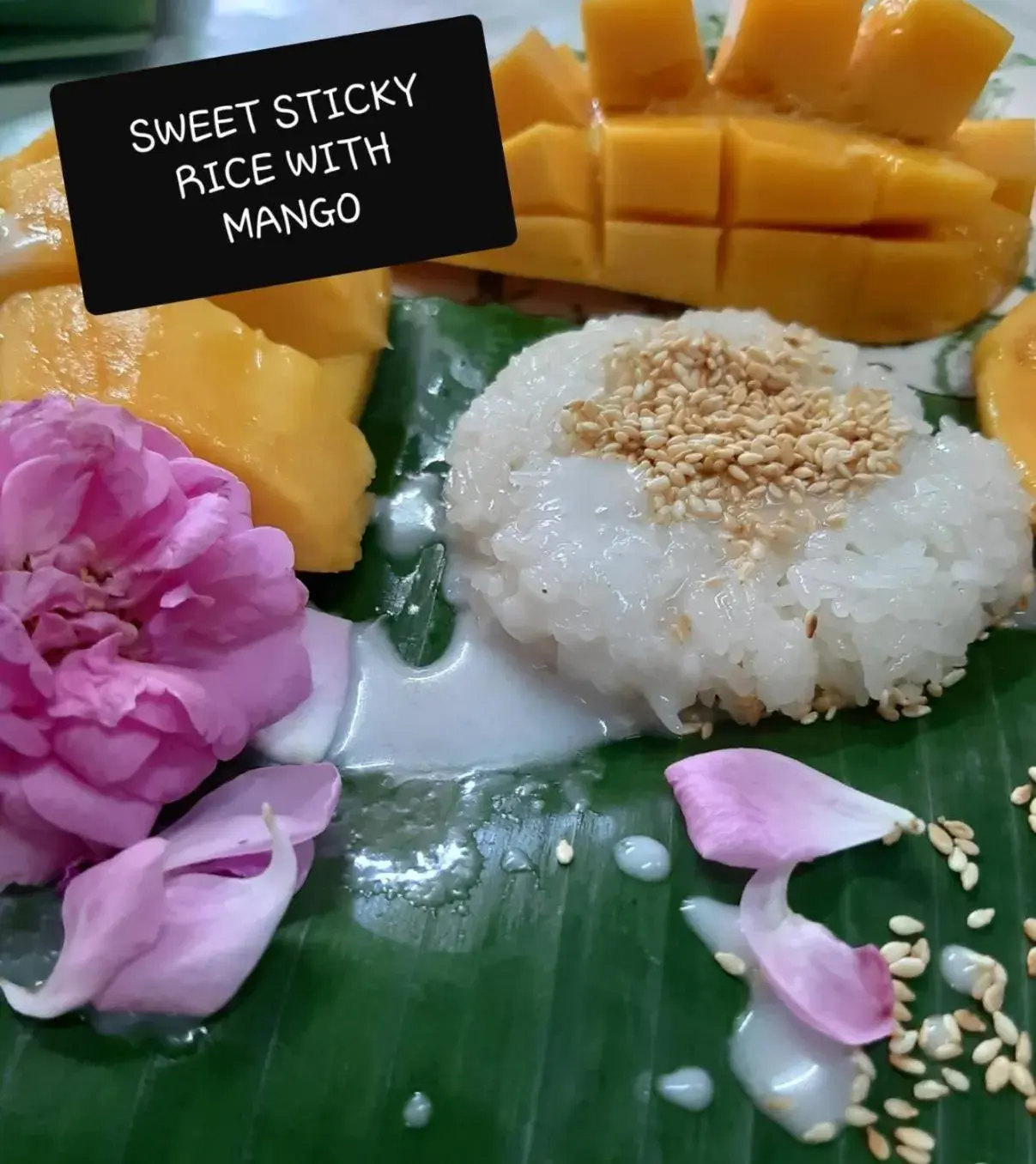 Restaurant/places to eat in Phuket Nonnita Boutique Resort - SHA Plus Restaurant/places to eat in Phuket Nonnita Boutique Resort - SHA Plus