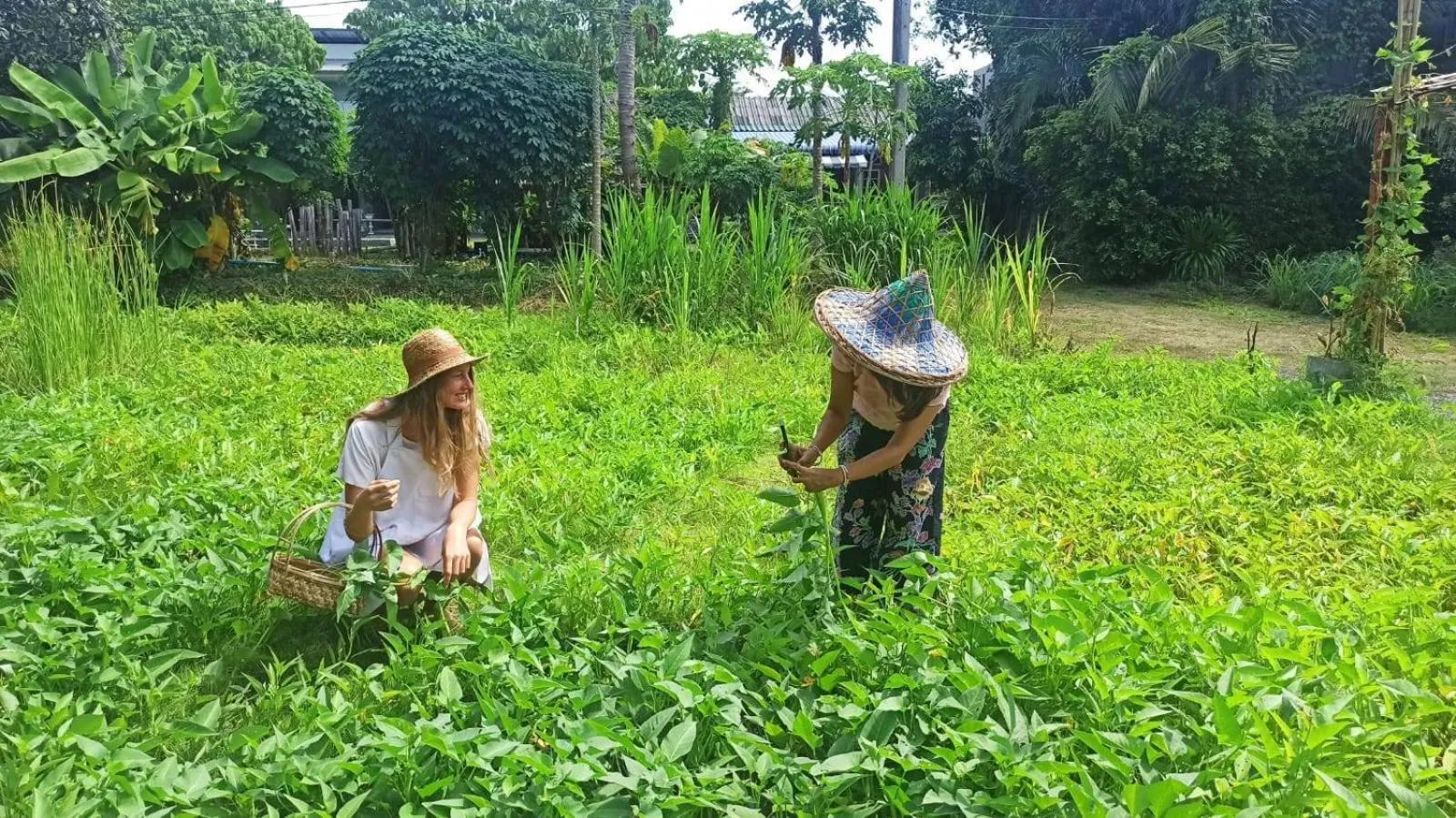 Activities in Phuket Nonnita Boutique Resort - SHA Plus