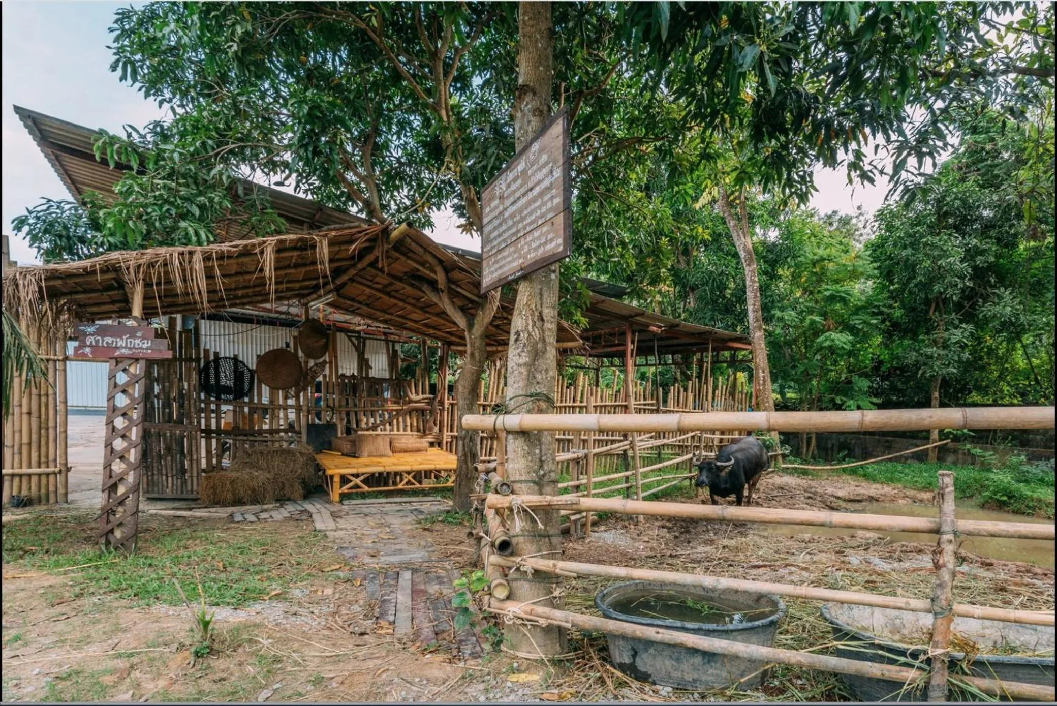 Property building in Phuket Nonnita Boutique Resort - SHA Plus