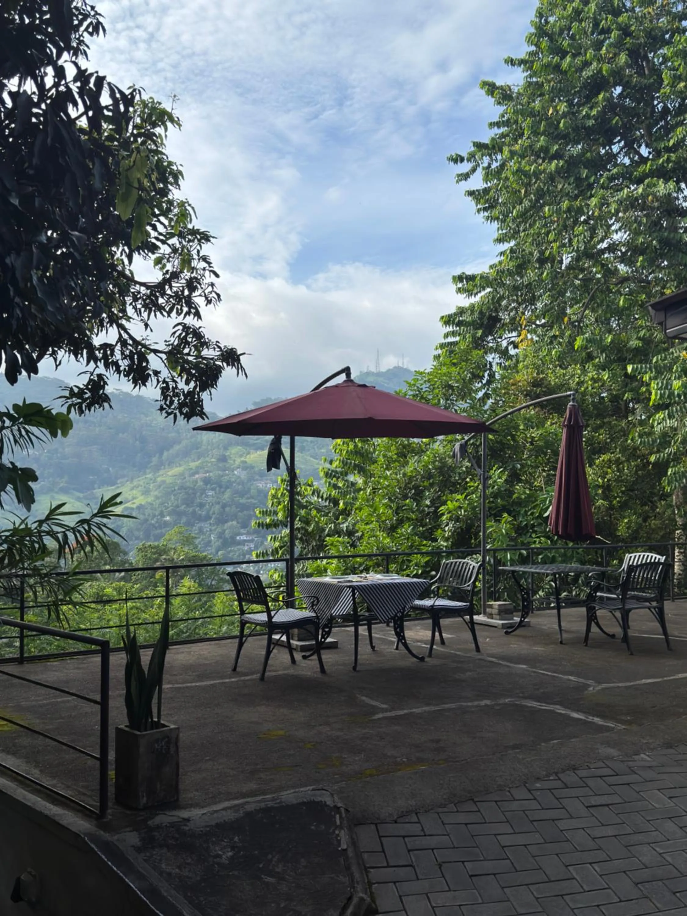 Natural landscape in Selyna Sky Terrace