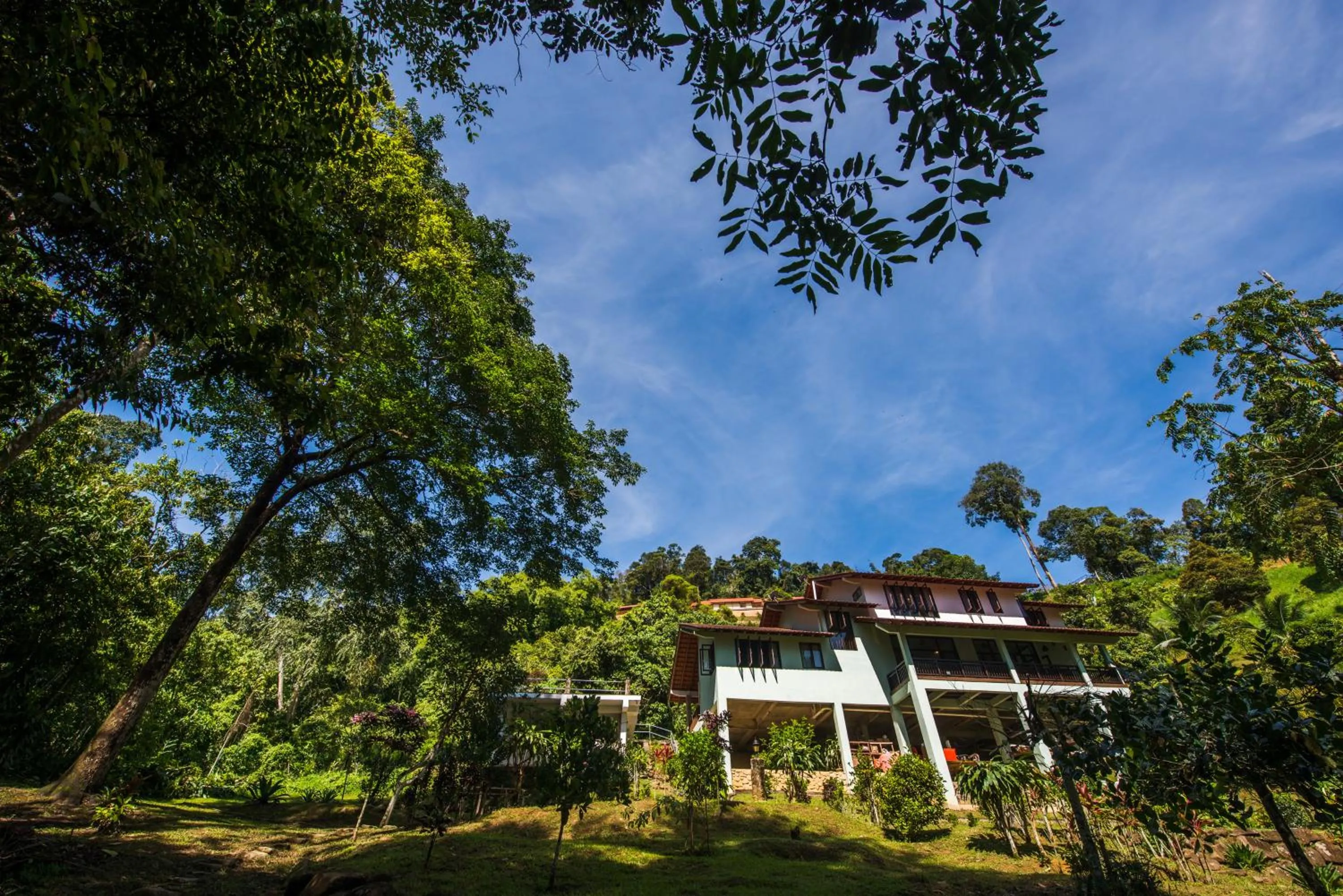 Rest Pause Rainforest Retreat