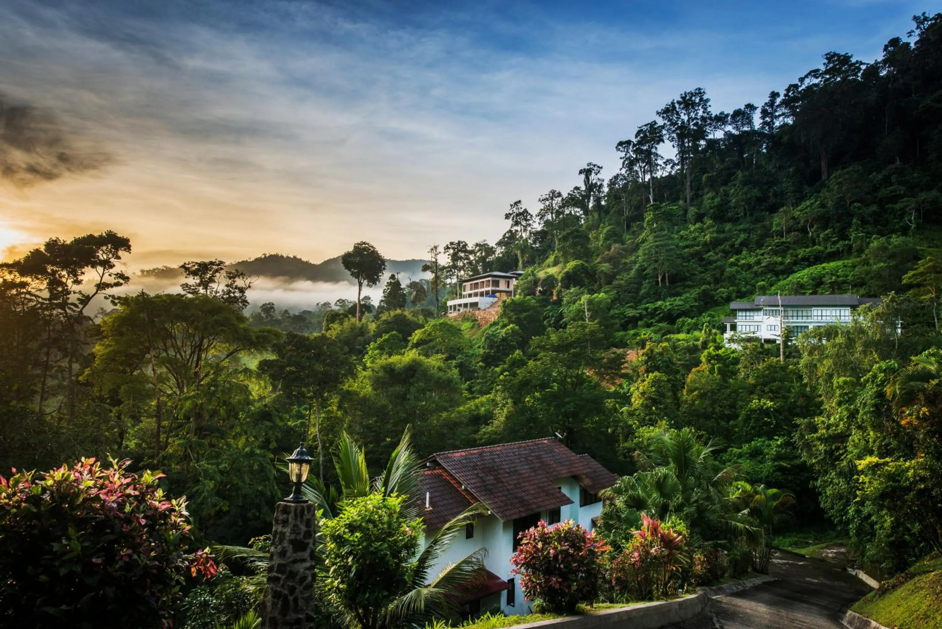 Rest Pause Rainforest Retreat