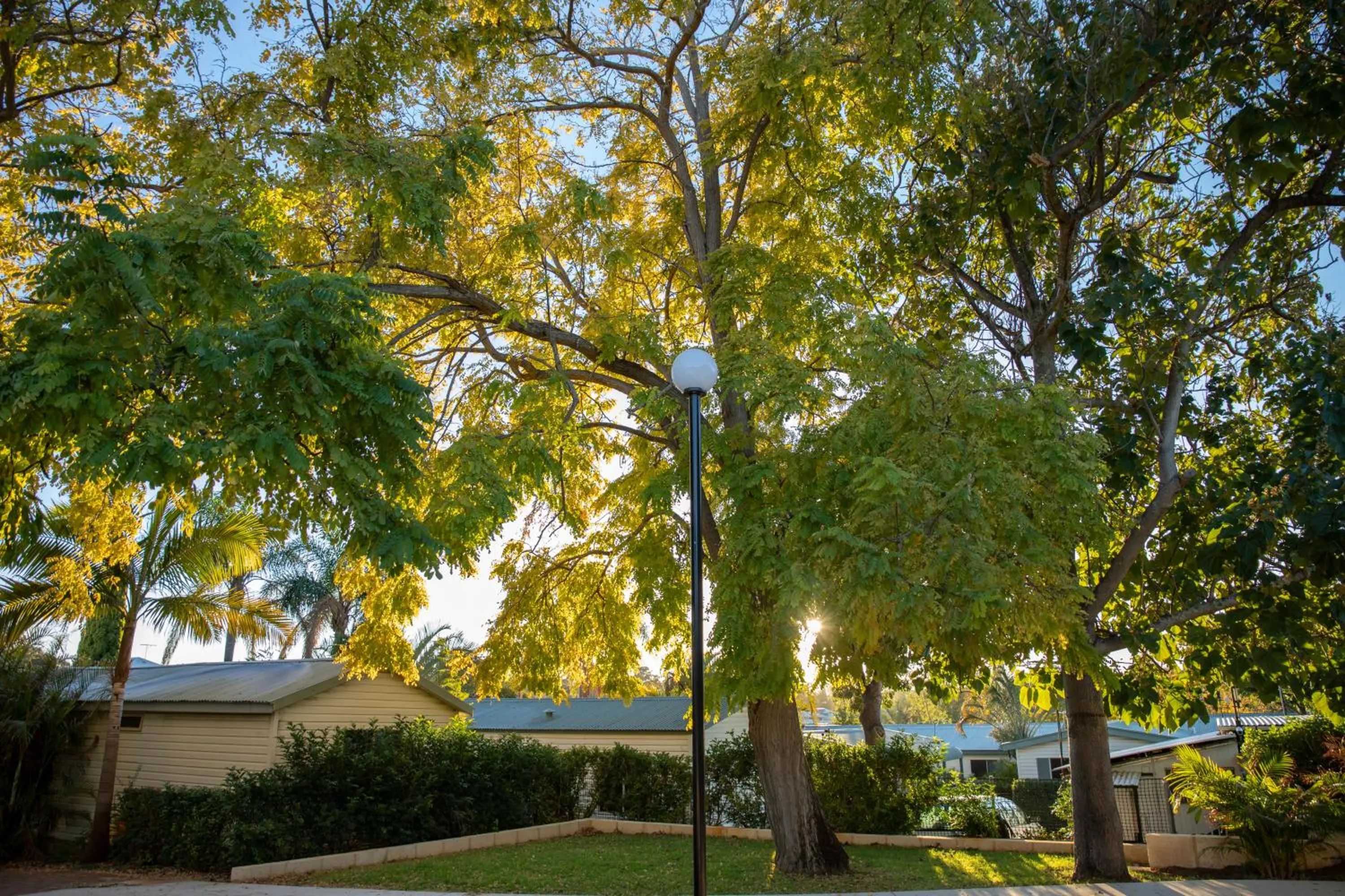 Garden in Karrinyup Waters Resort